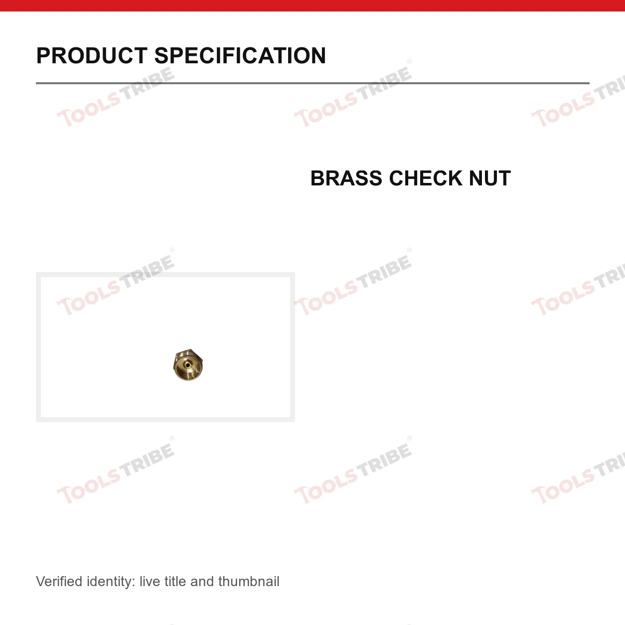 BRASS CHECK NUT