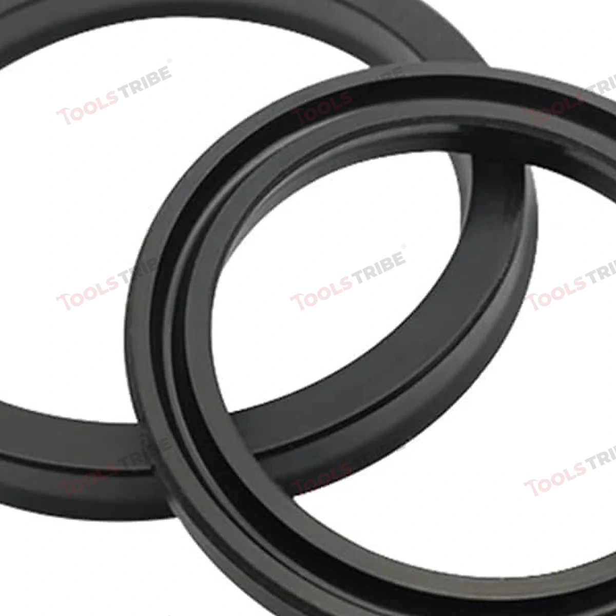 OIL SEAL   (30-50-8)