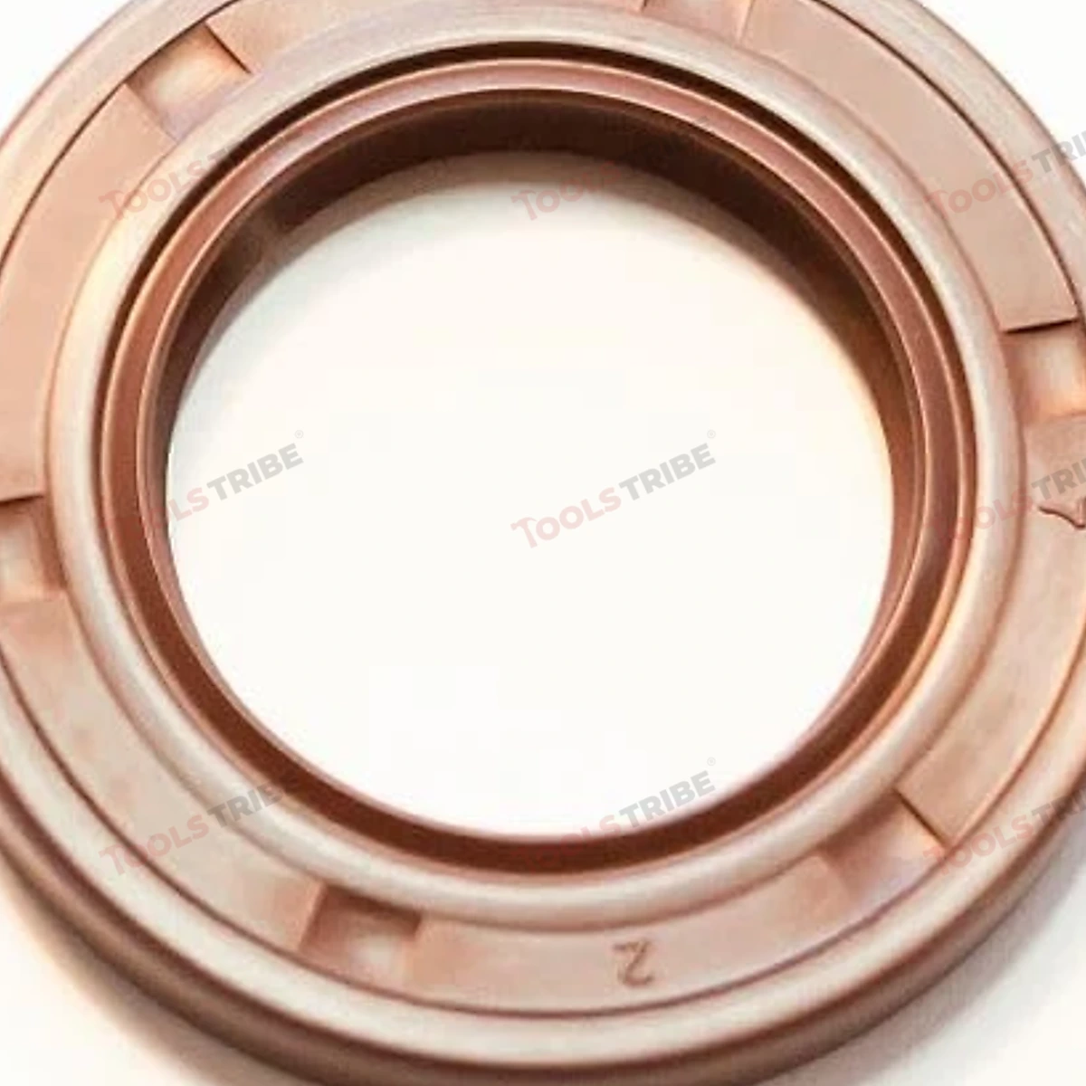 OIL SEAL   (32-55-10)