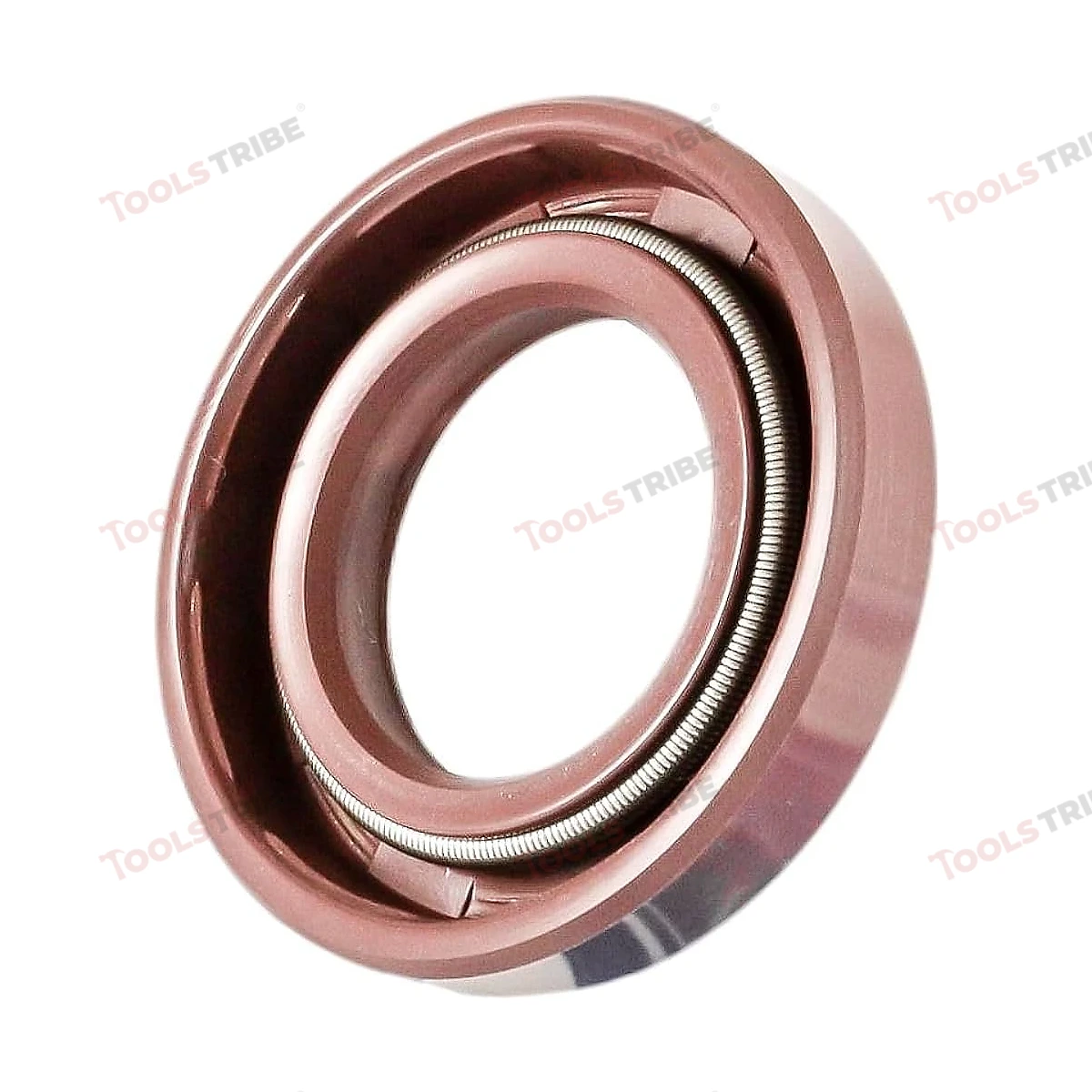 OIL SEAL   (32-55-10)