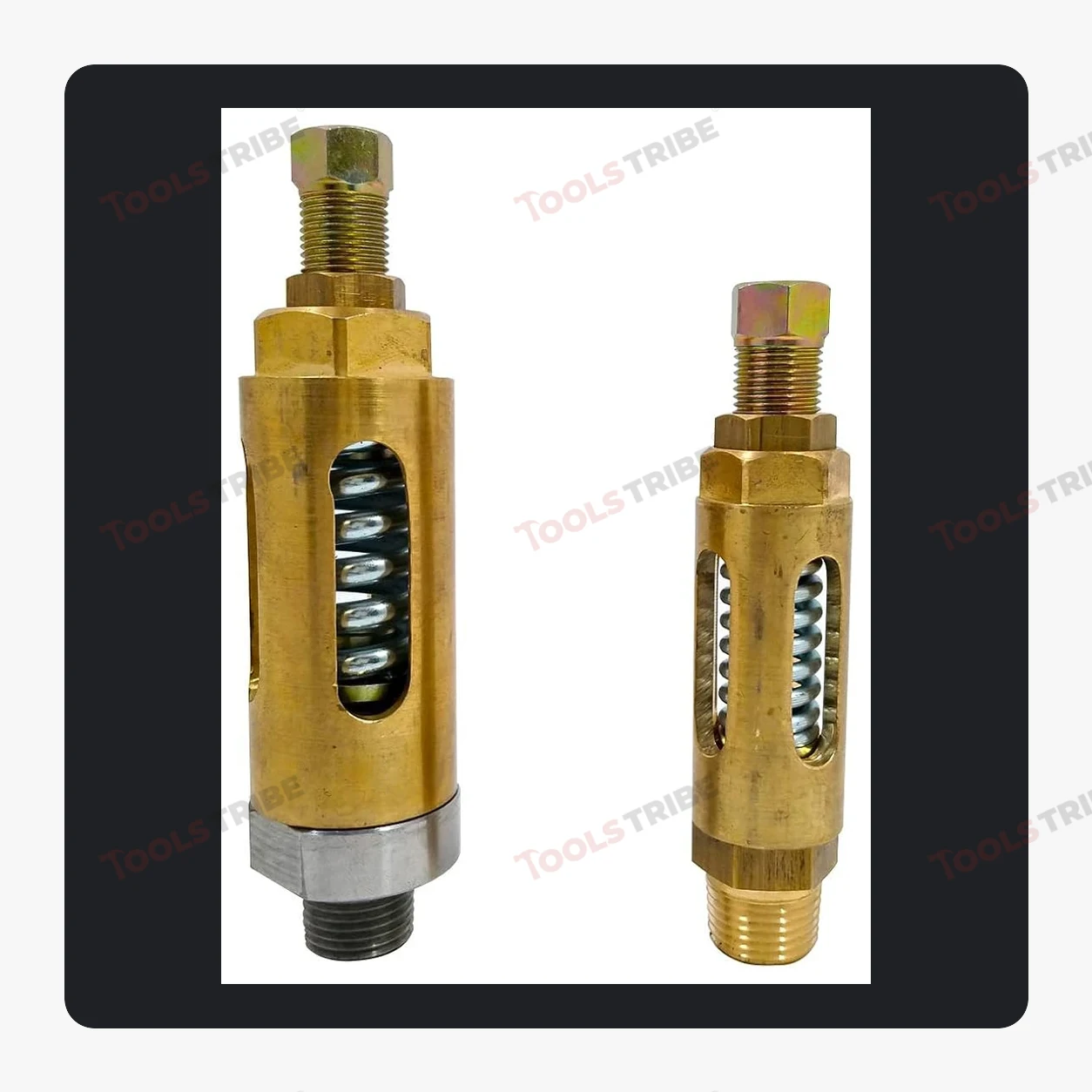 SAFTY VALVE (1/2)