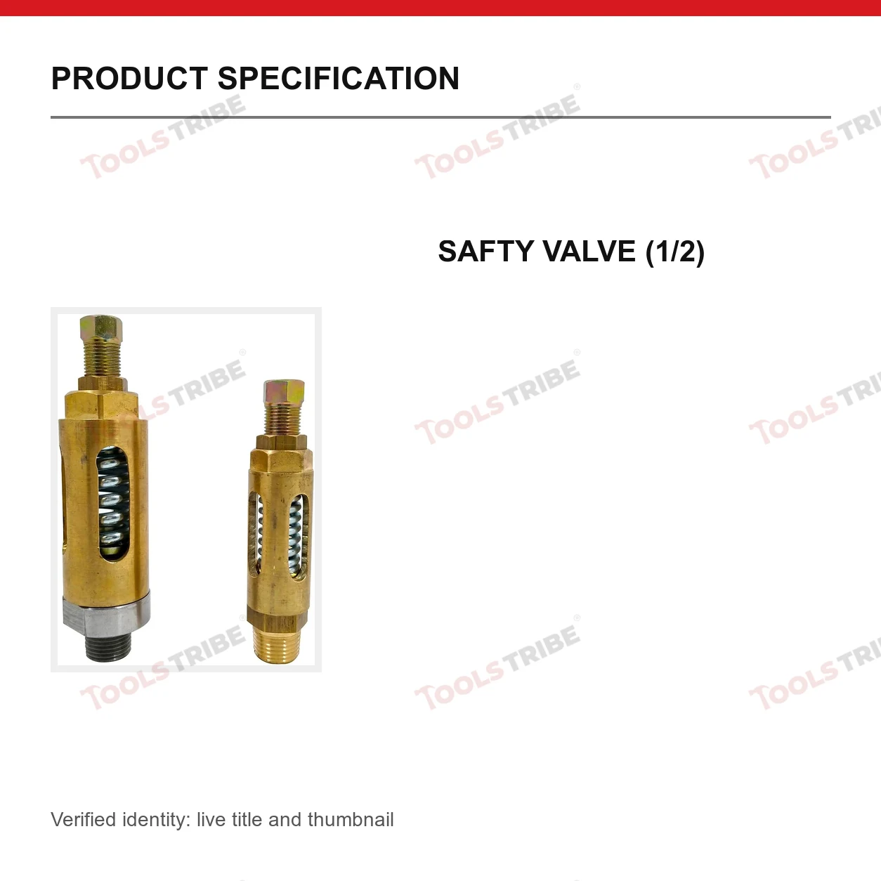 SAFTY VALVE (1/2)