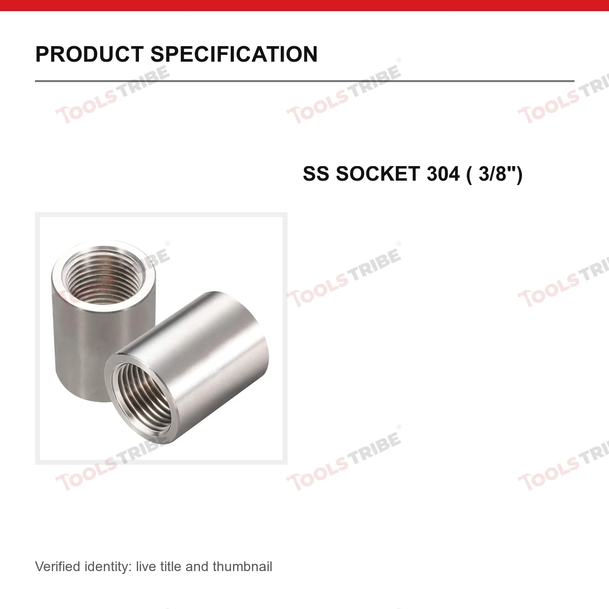 SS SOCKET 304 ( 3/8")