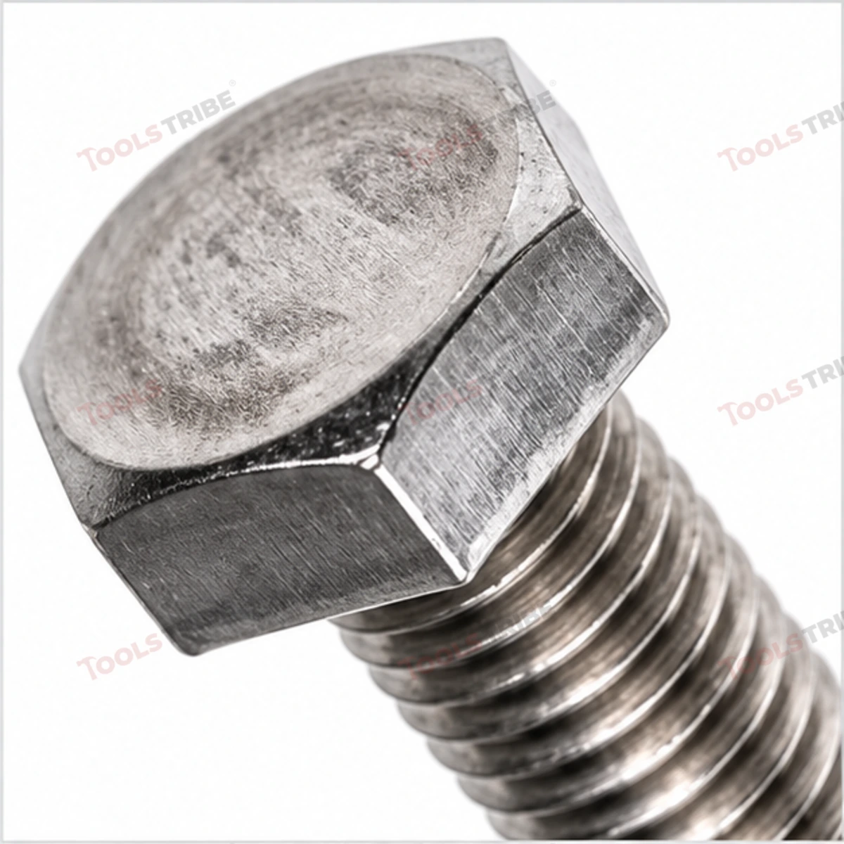 STAINLESS STEEL (SS-12*50 BOLT)