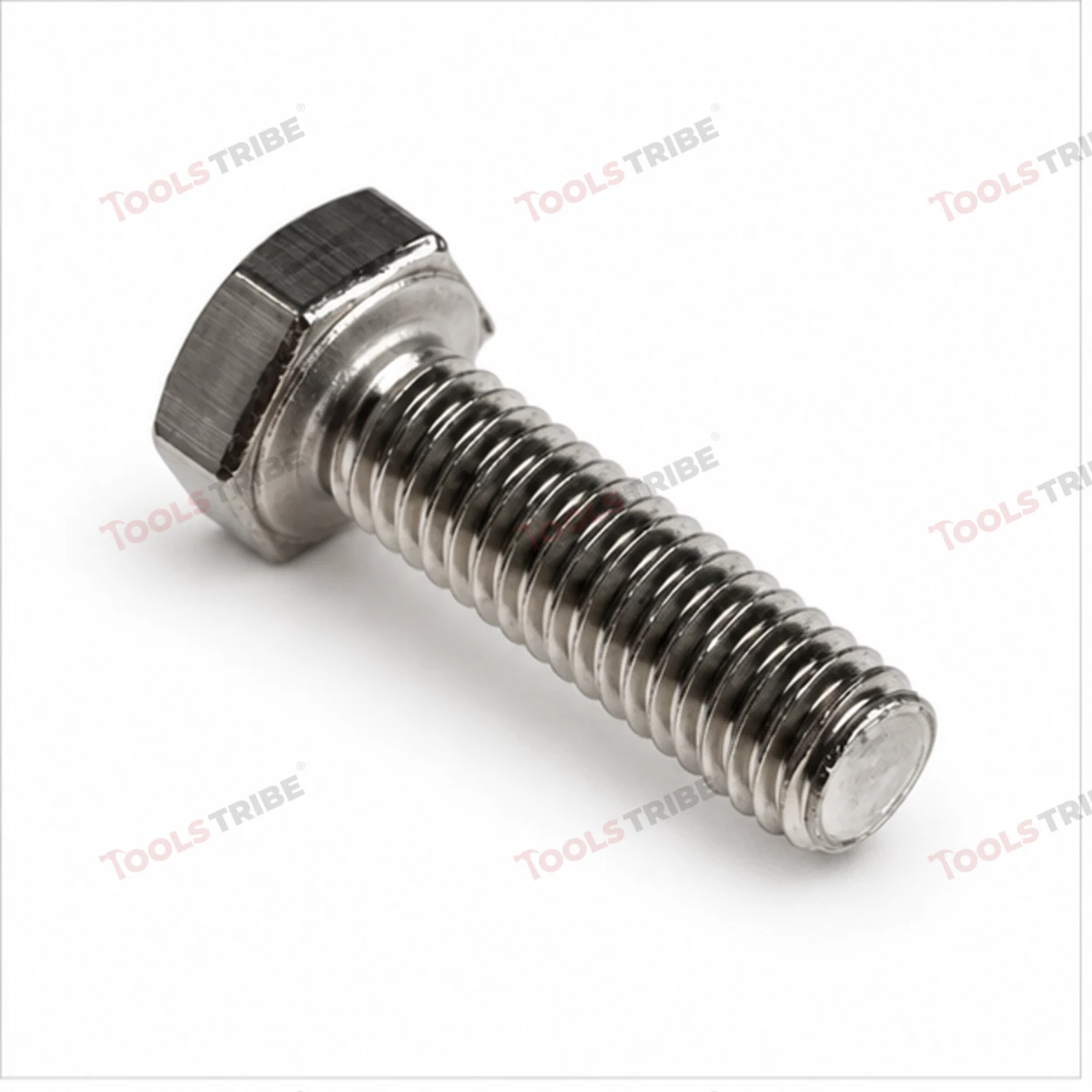 STAINLESS STEEL (SS-6*12 BOLT)