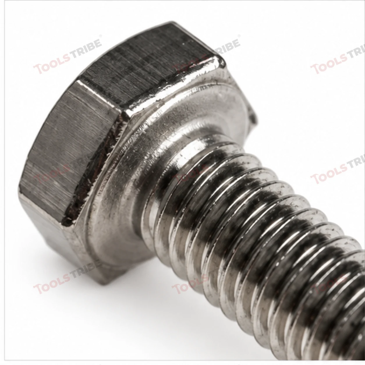 STAINLESS STEEL (SS-6*12 BOLT)