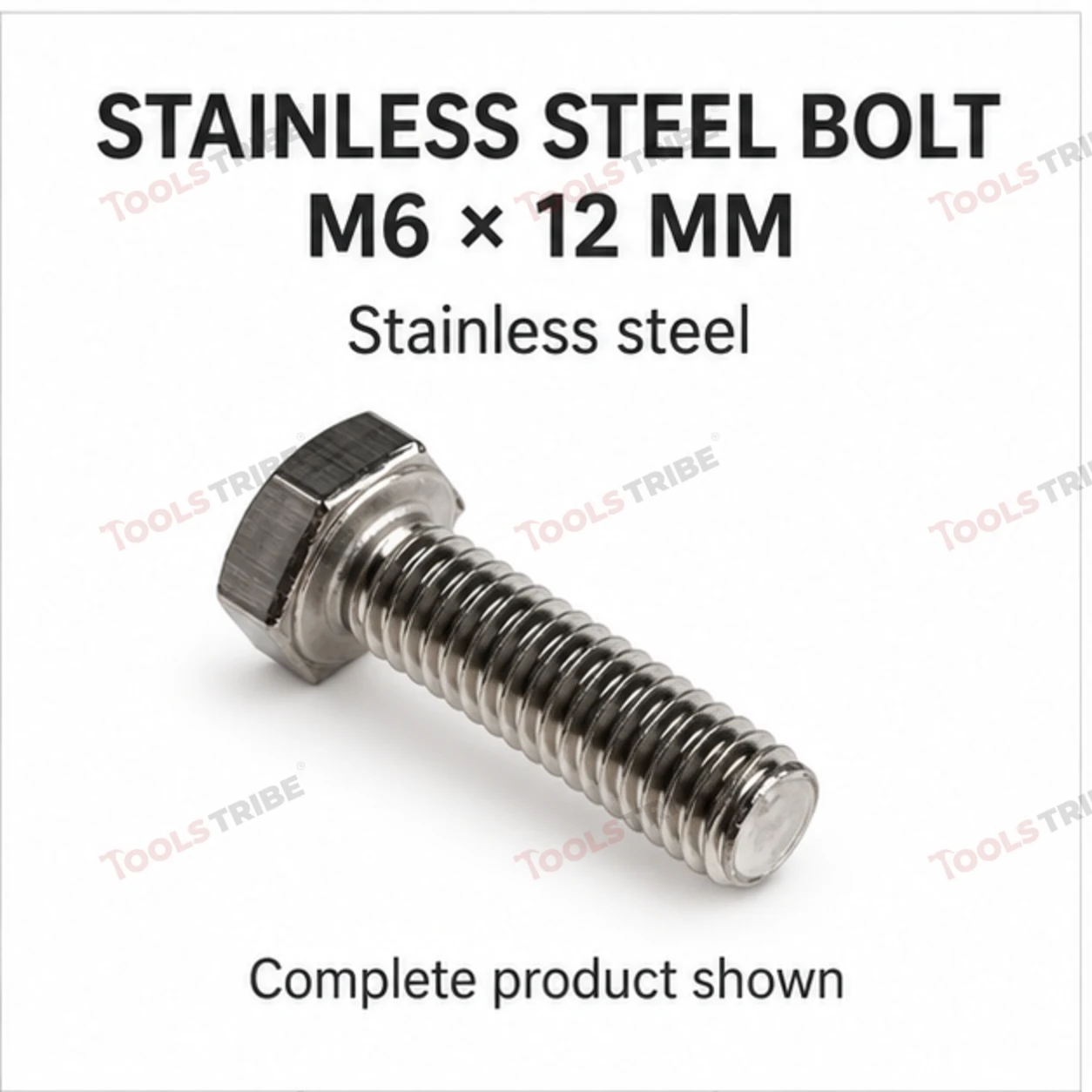 STAINLESS STEEL (SS-6*12 BOLT)