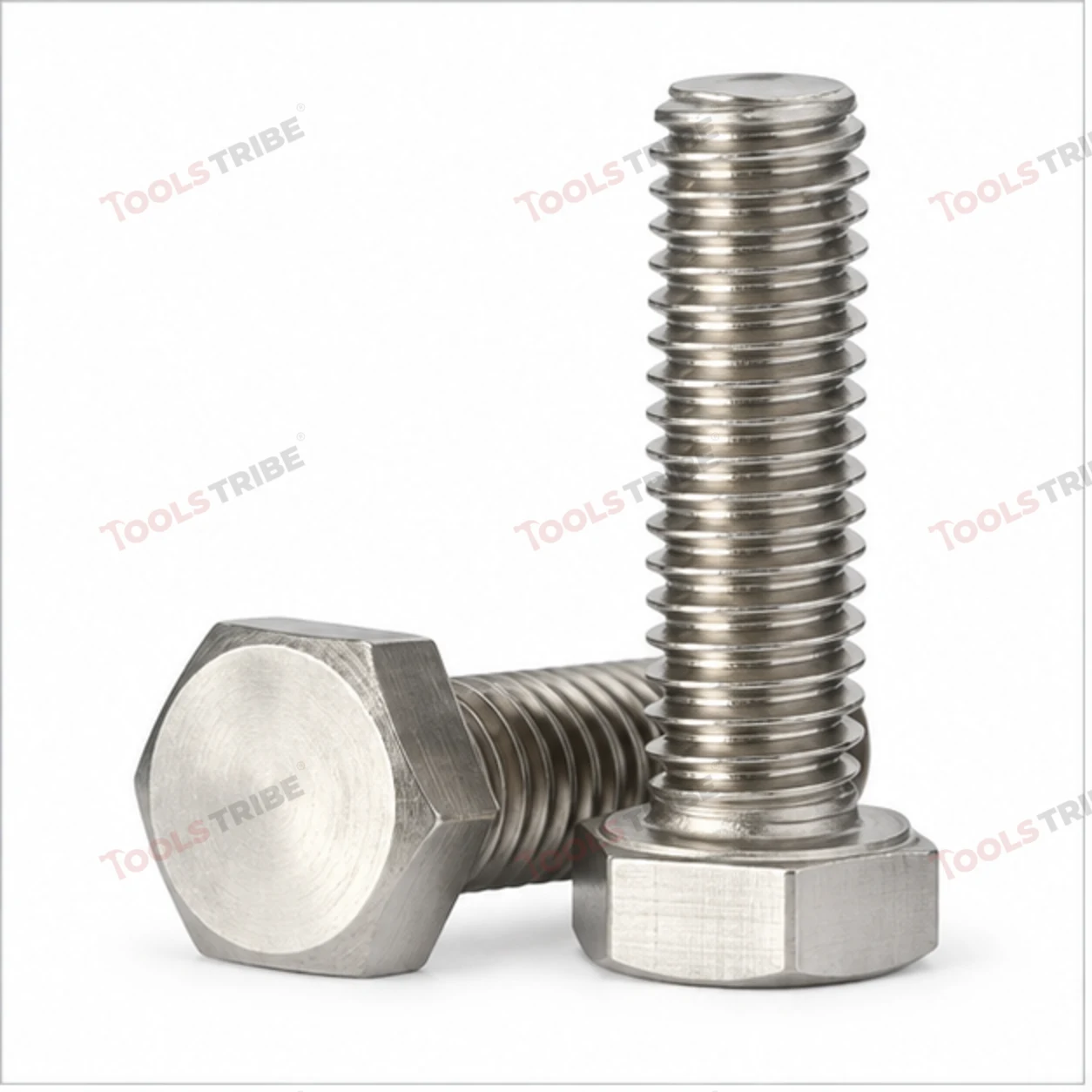 STAINLESS STEEL (SS-6*25 BOLT)