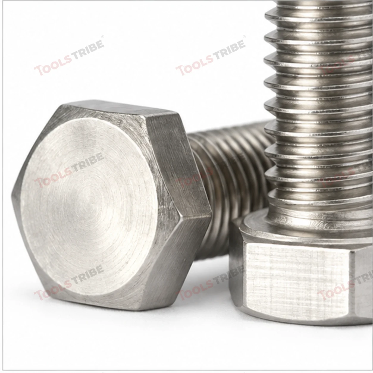 STAINLESS STEEL (SS-6*25 BOLT)