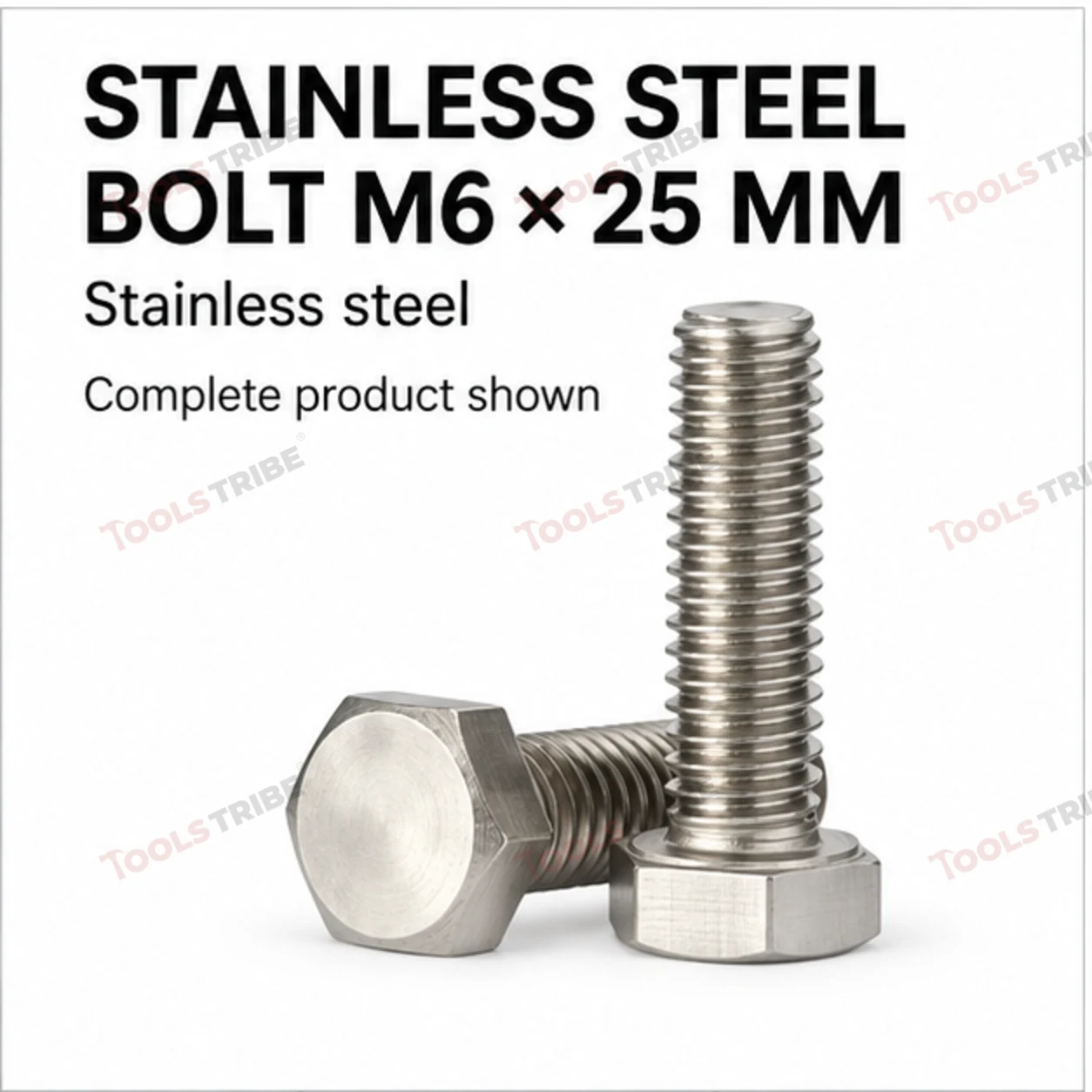 STAINLESS STEEL (SS-6*25 BOLT)