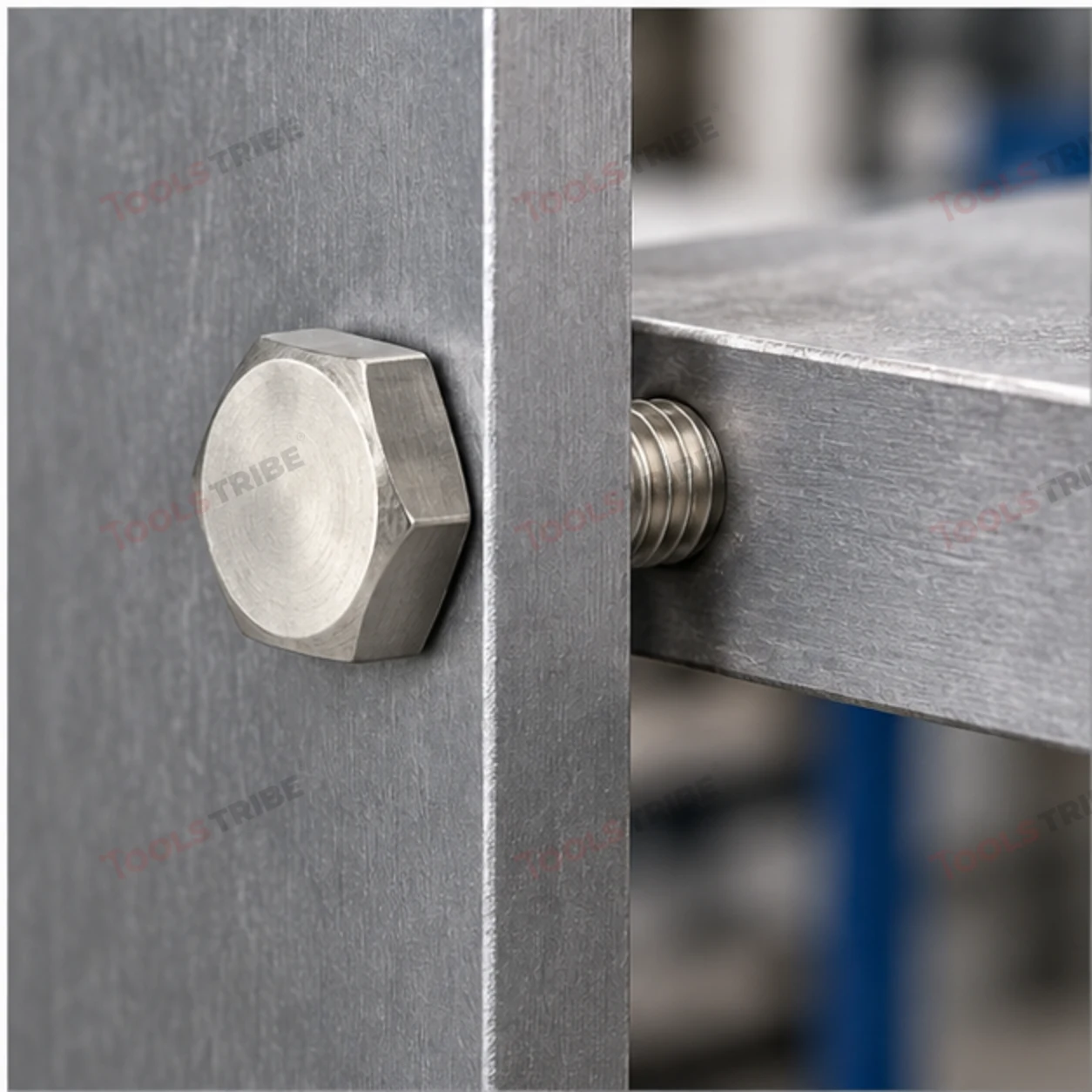 STAINLESS STEEL (SS-6*25 BOLT)