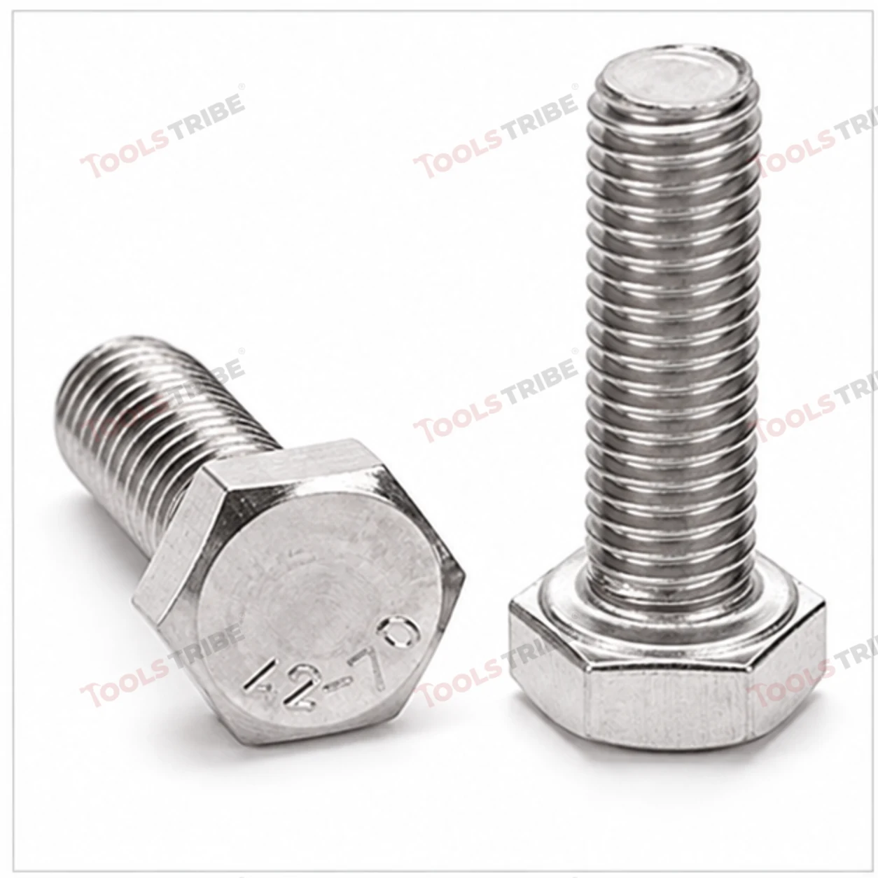 STAINLESS STEEL (SS-6*50 BOLT)