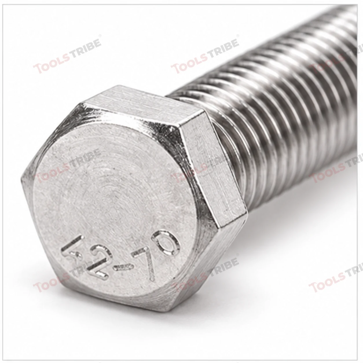 STAINLESS STEEL (SS-6*50 BOLT)