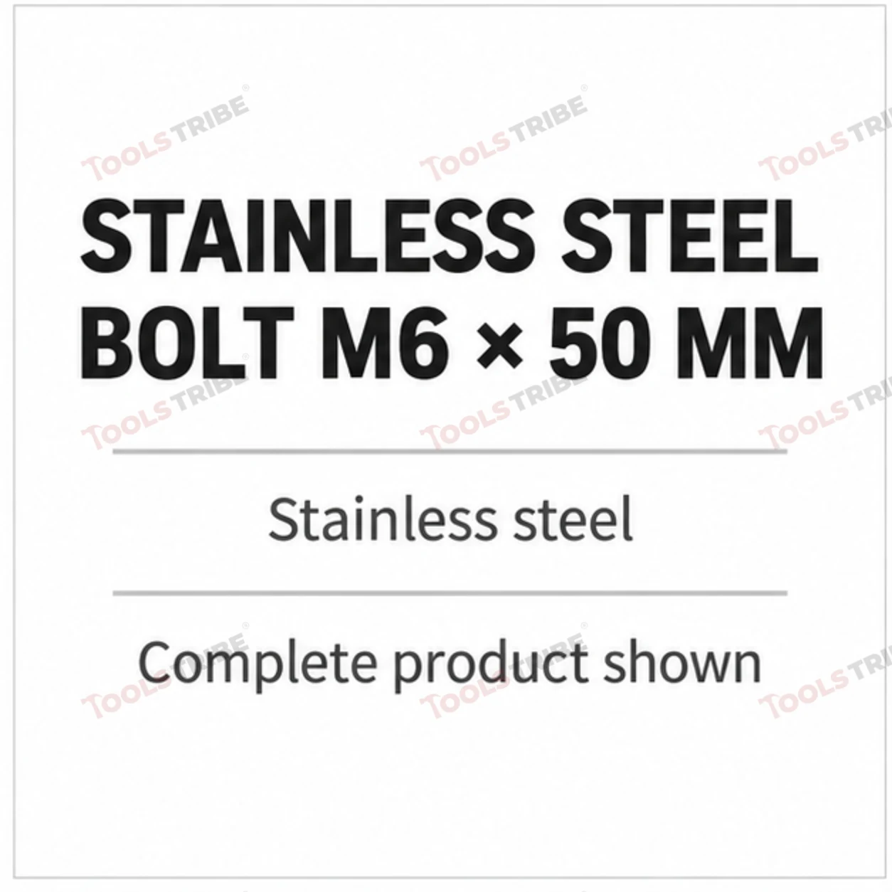 STAINLESS STEEL (SS-6*50 BOLT)