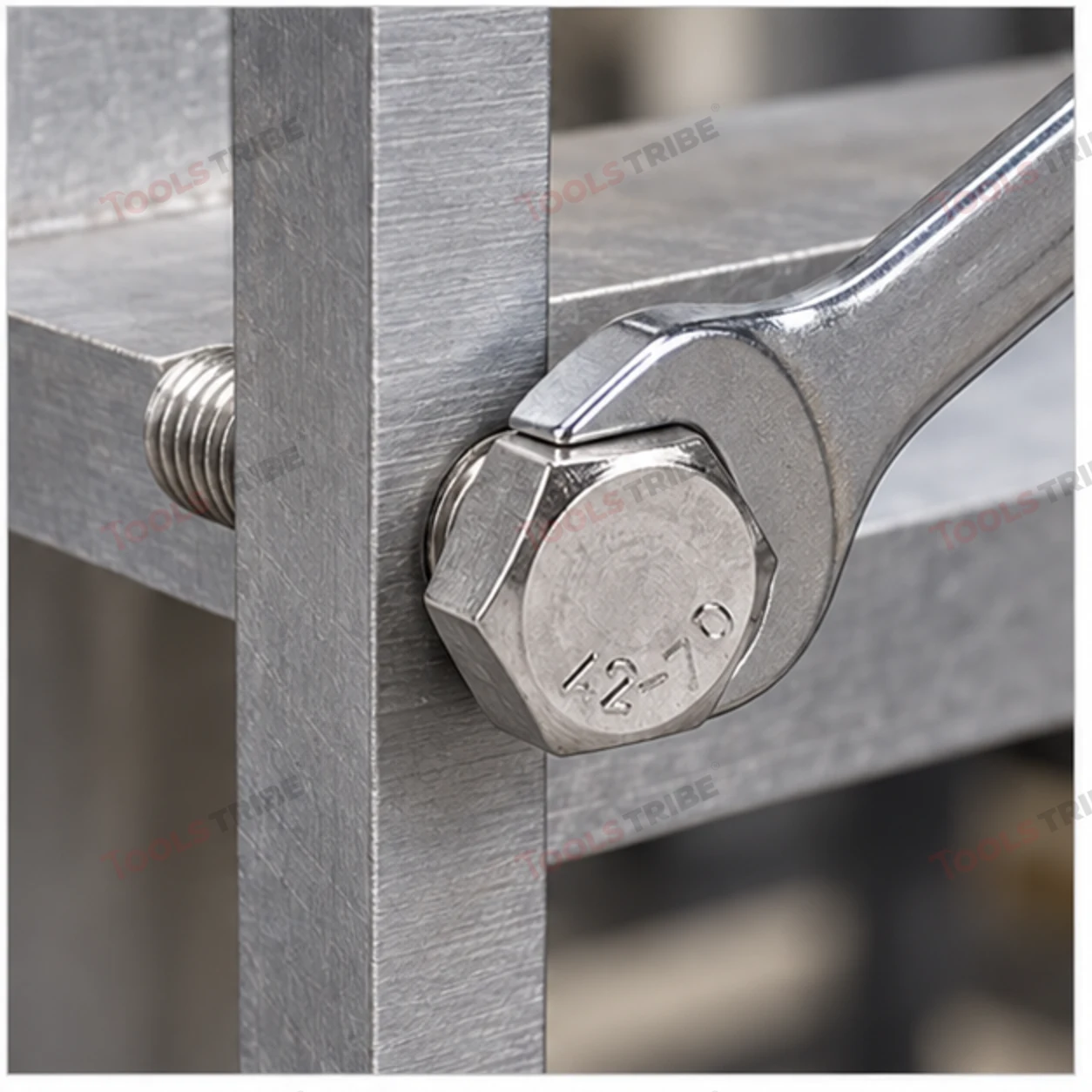STAINLESS STEEL (SS-6*50 BOLT)