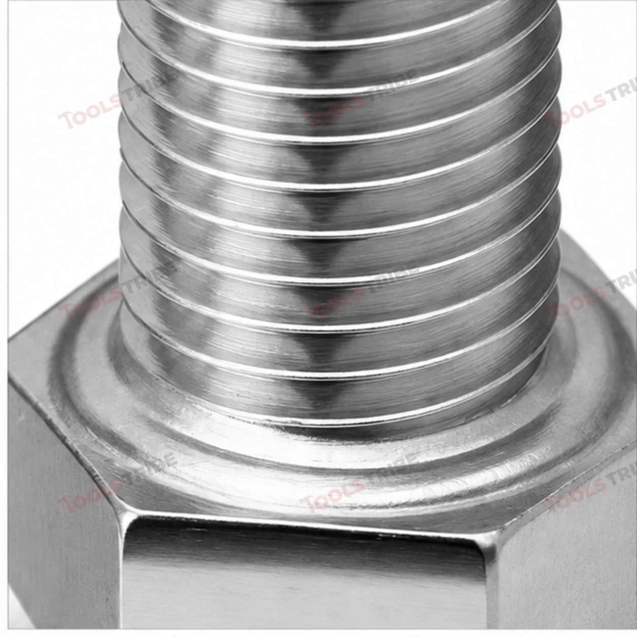 STAINLESS STEEL (SS-24*40 BOLT)