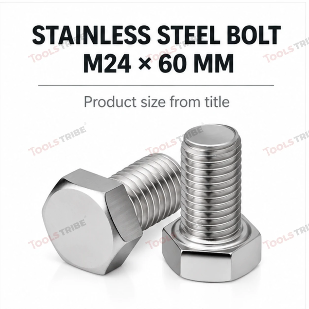 STAINLESS STEEL (SS-24*60 BOLT)