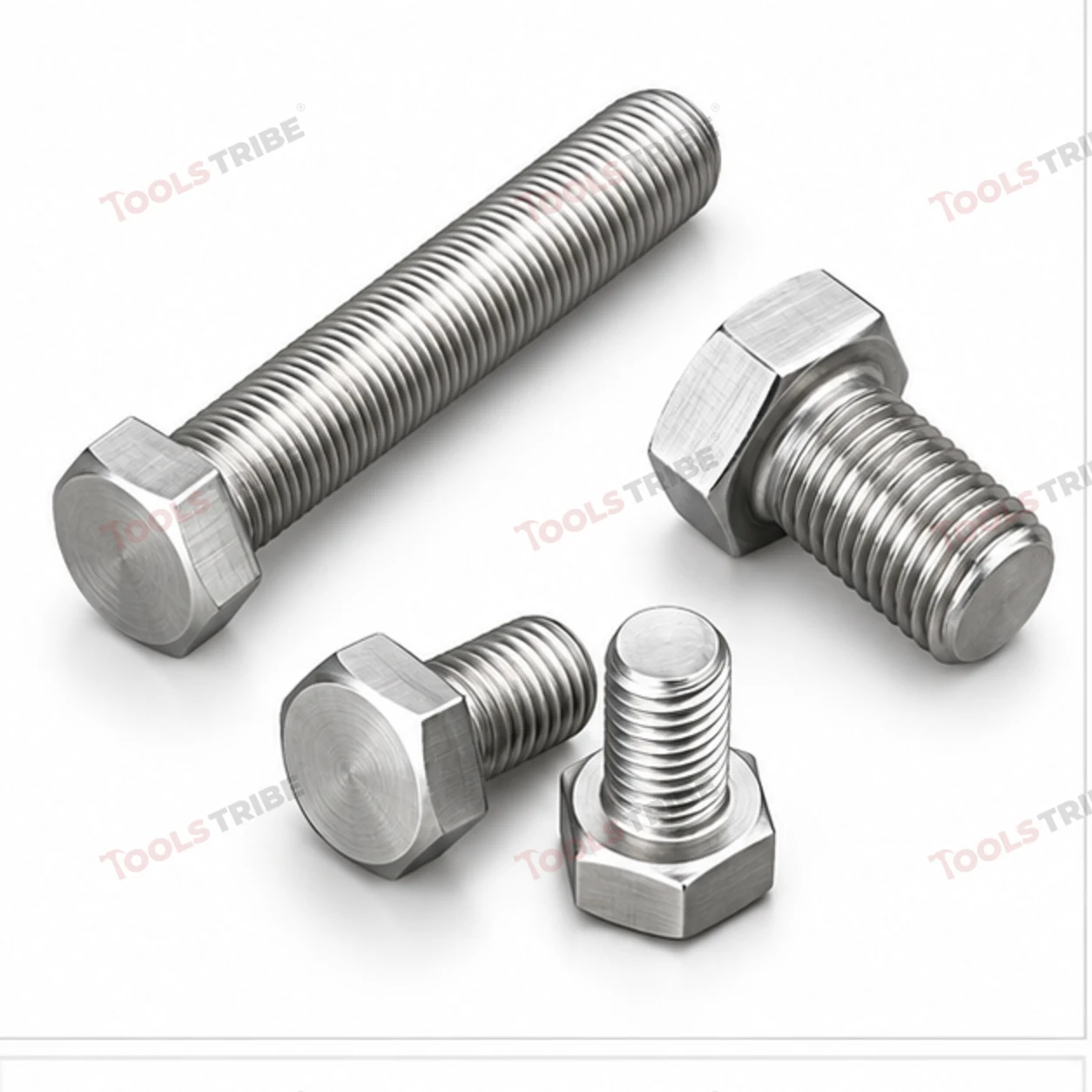 STAINLESS STEEL (SS-1/4*1/2 BOLT)