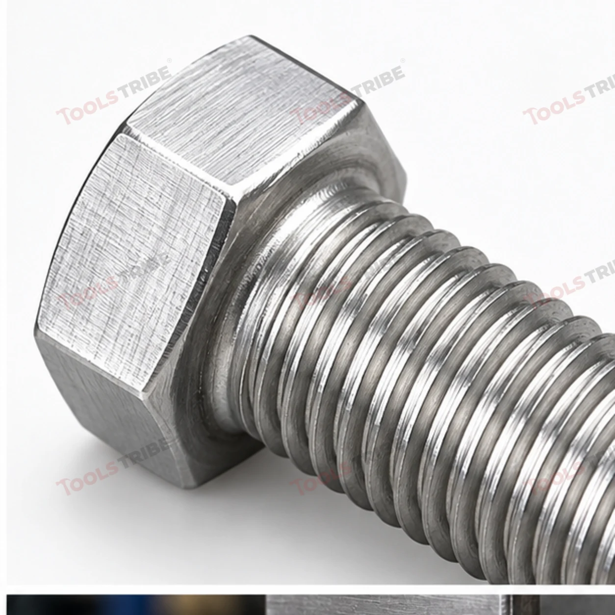 STAINLESS STEEL (SS-1/4*1/2 BOLT)
