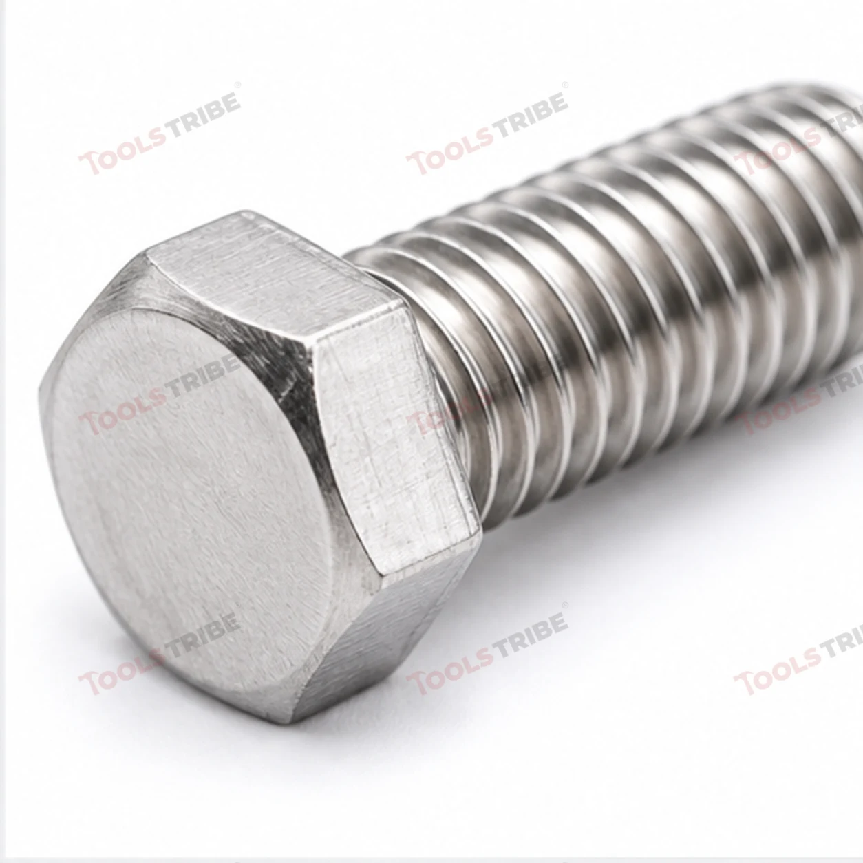 STAINLESS STEEL (SS-1/4*1 BOLT)