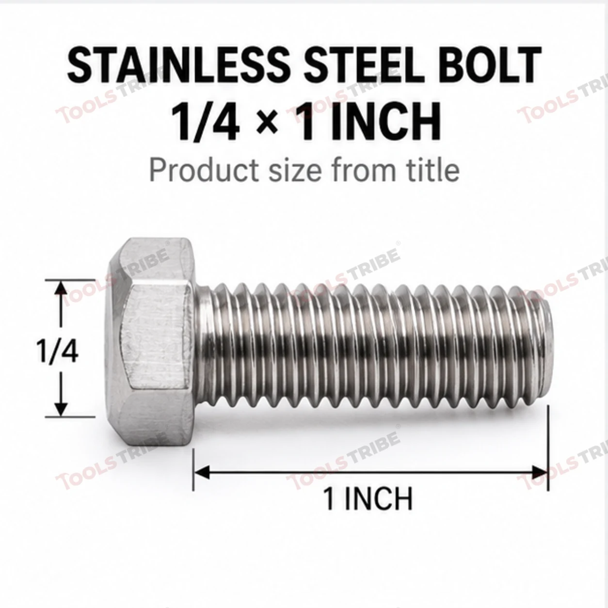 STAINLESS STEEL (SS-1/4*1 BOLT)