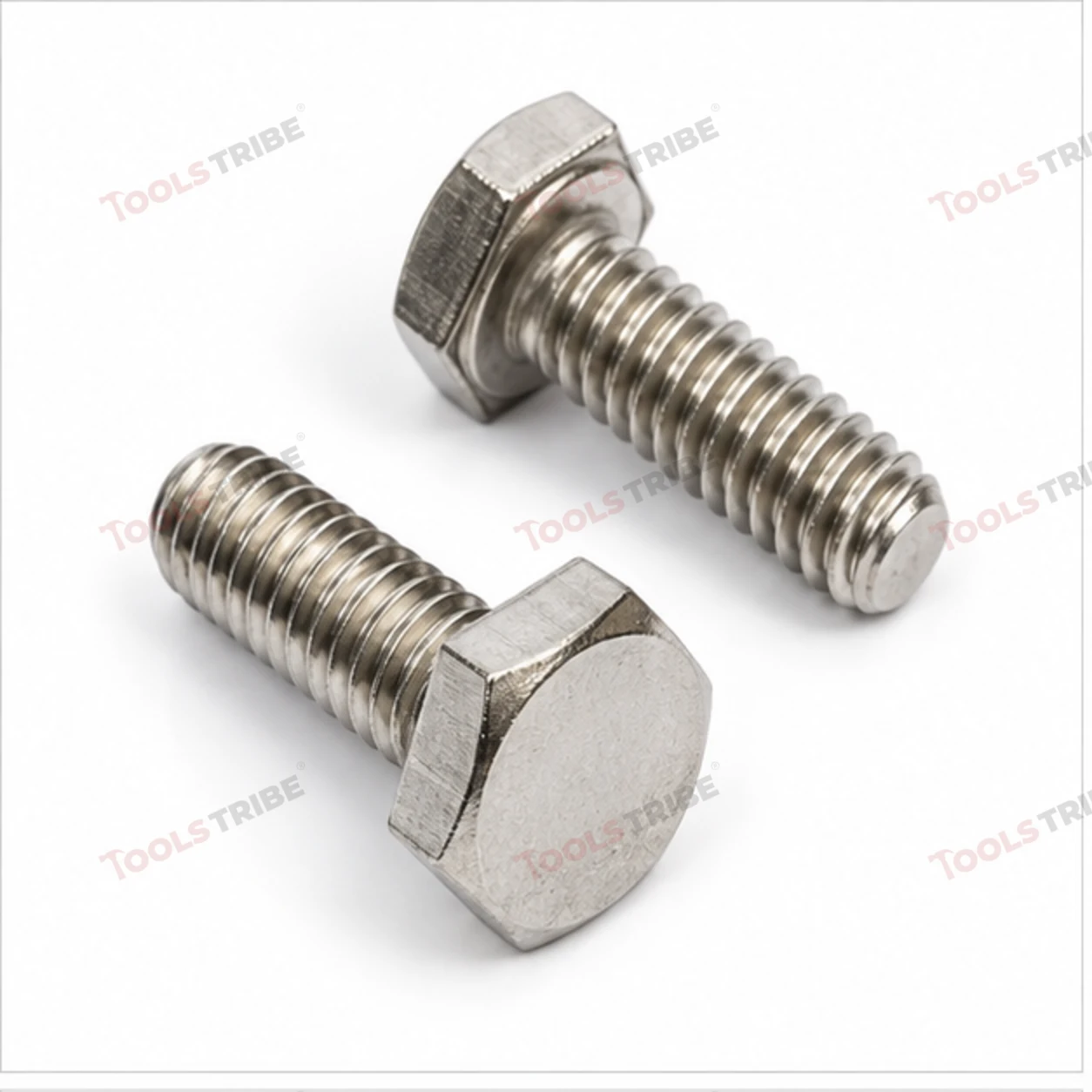STAINLESS STEEL (SS-1/2*1 BOLT)