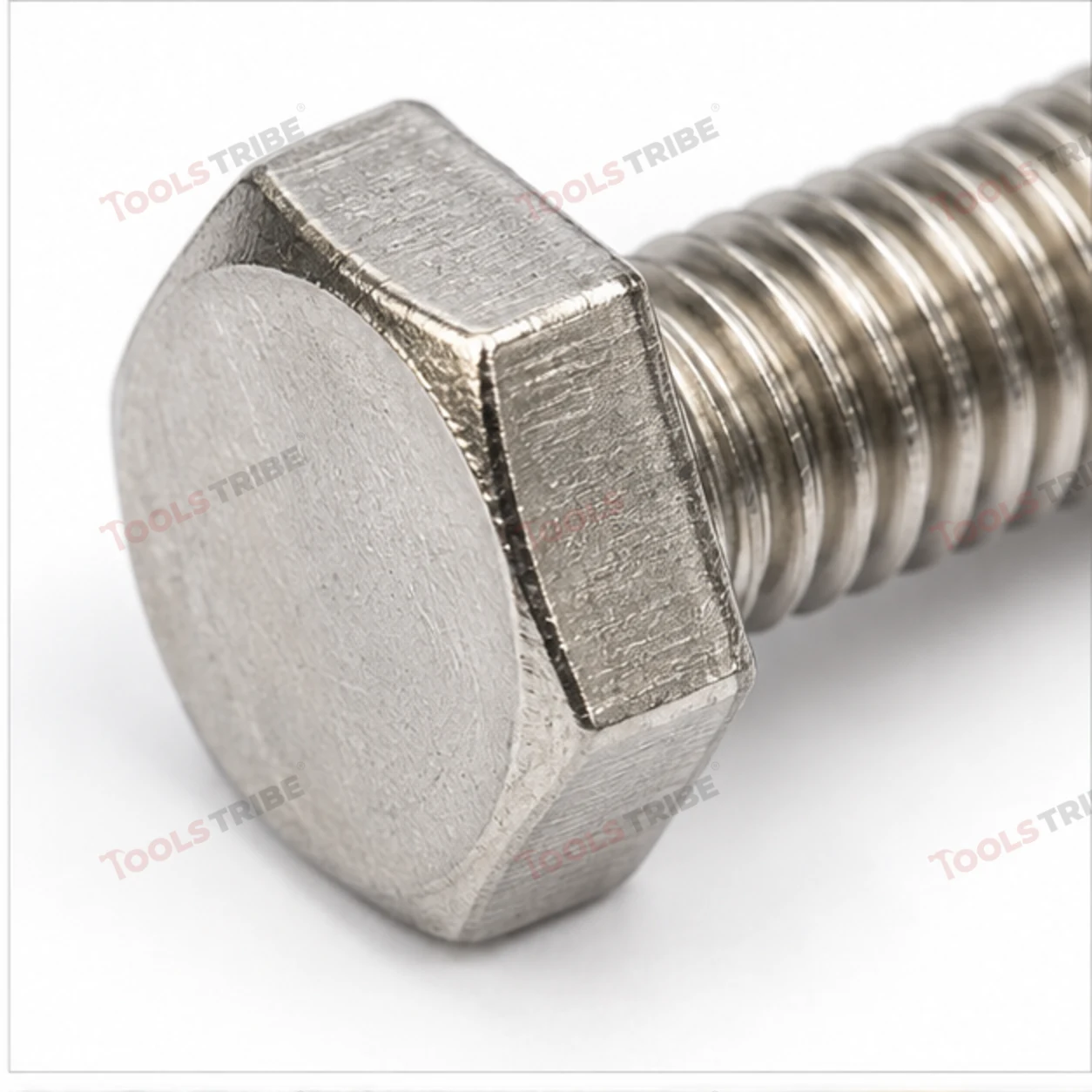 STAINLESS STEEL (SS-1/2*1 BOLT)