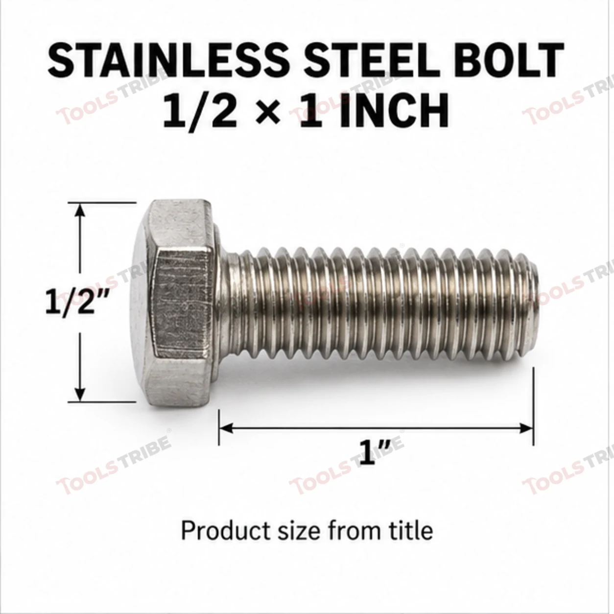 STAINLESS STEEL (SS-1/2*1 BOLT)
