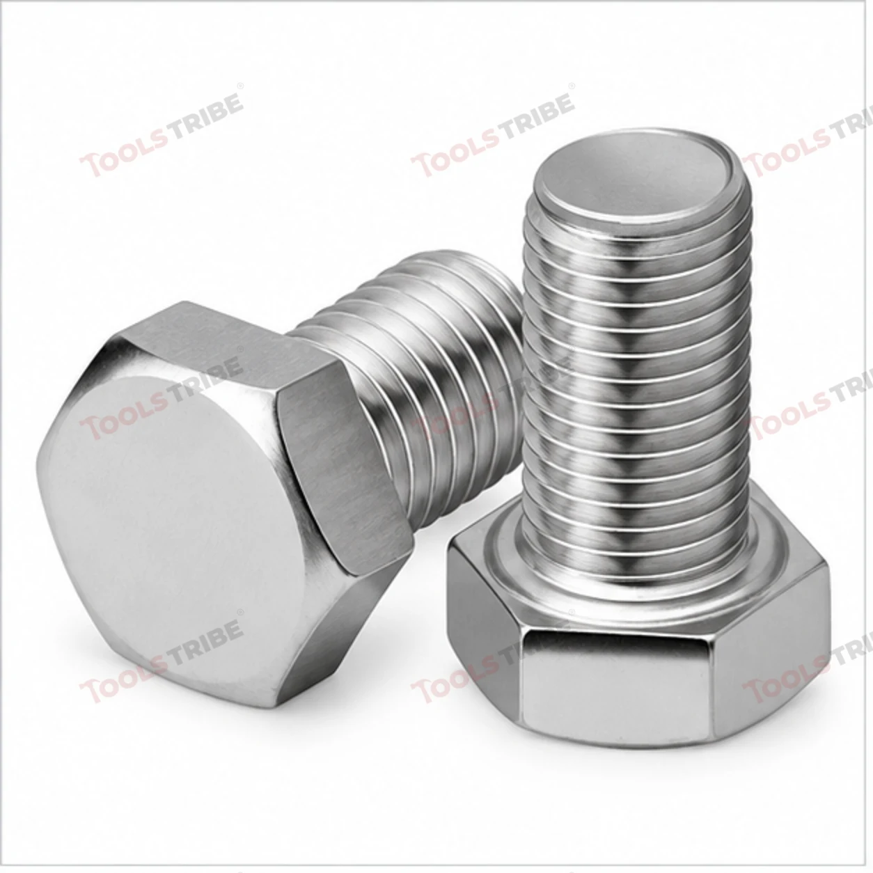 STAINLESS STEEL (SS-1/2*2 BOLT)