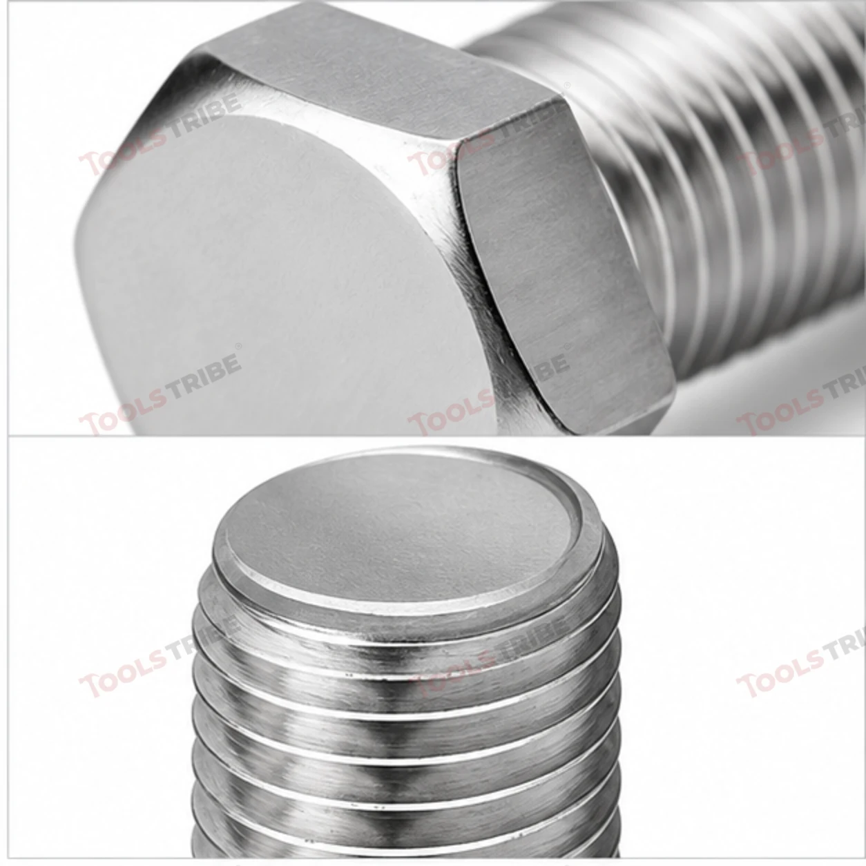 STAINLESS STEEL (SS-1/2*2 BOLT)