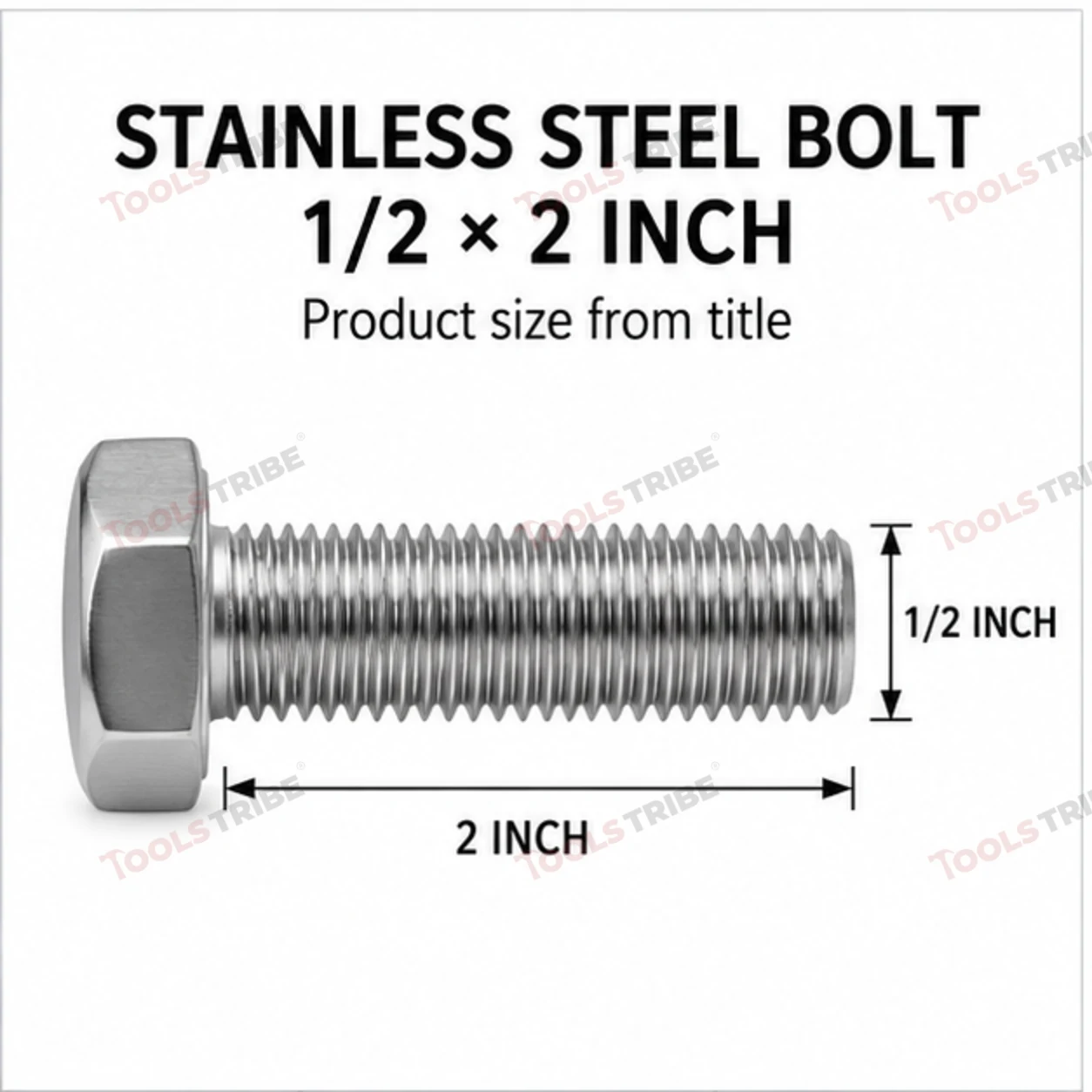 STAINLESS STEEL (SS-1/2*2 BOLT)