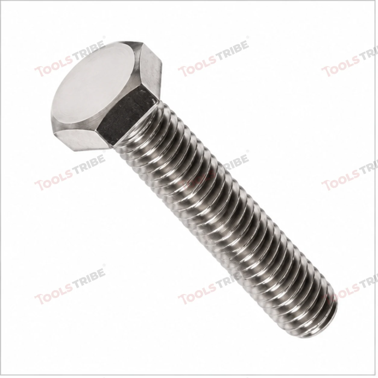 STAINLESS STEEL (SS-1/2*4 BOLT)