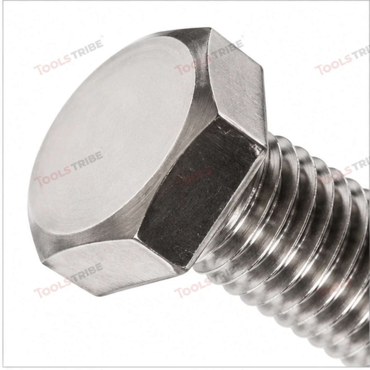 STAINLESS STEEL (SS-1/2*4 BOLT)