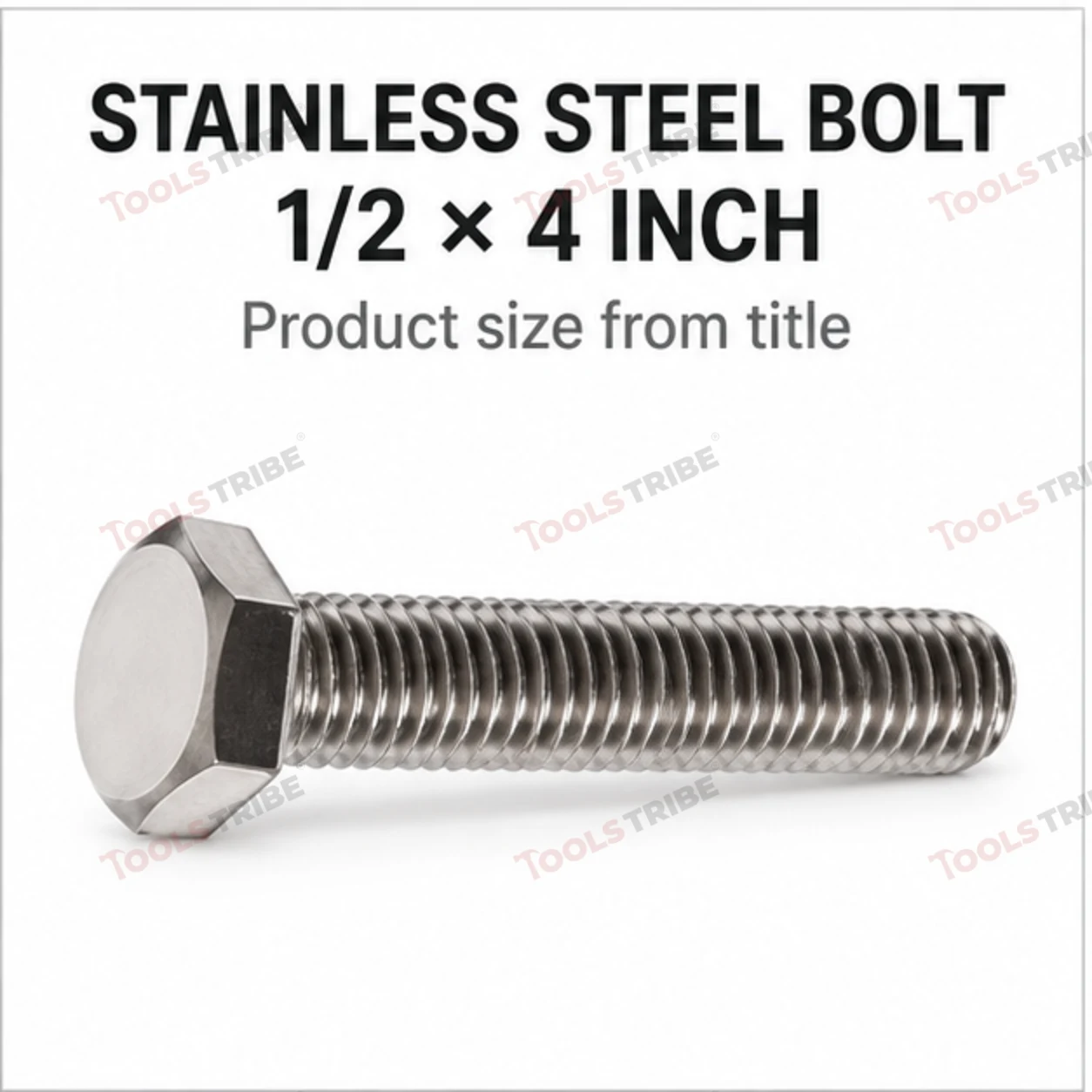 STAINLESS STEEL (SS-1/2*4 BOLT)