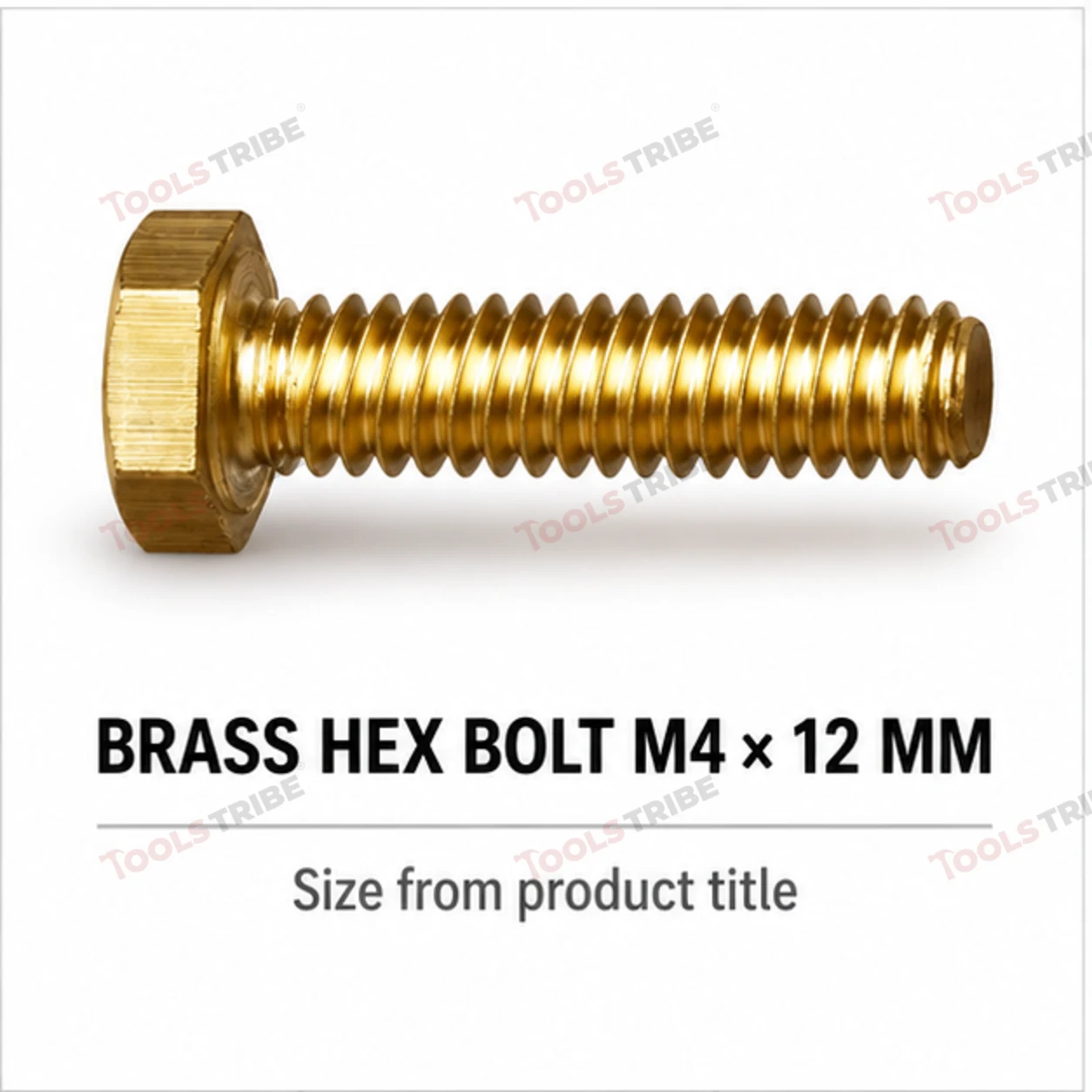 BRASS HEX BOLT(4*12)