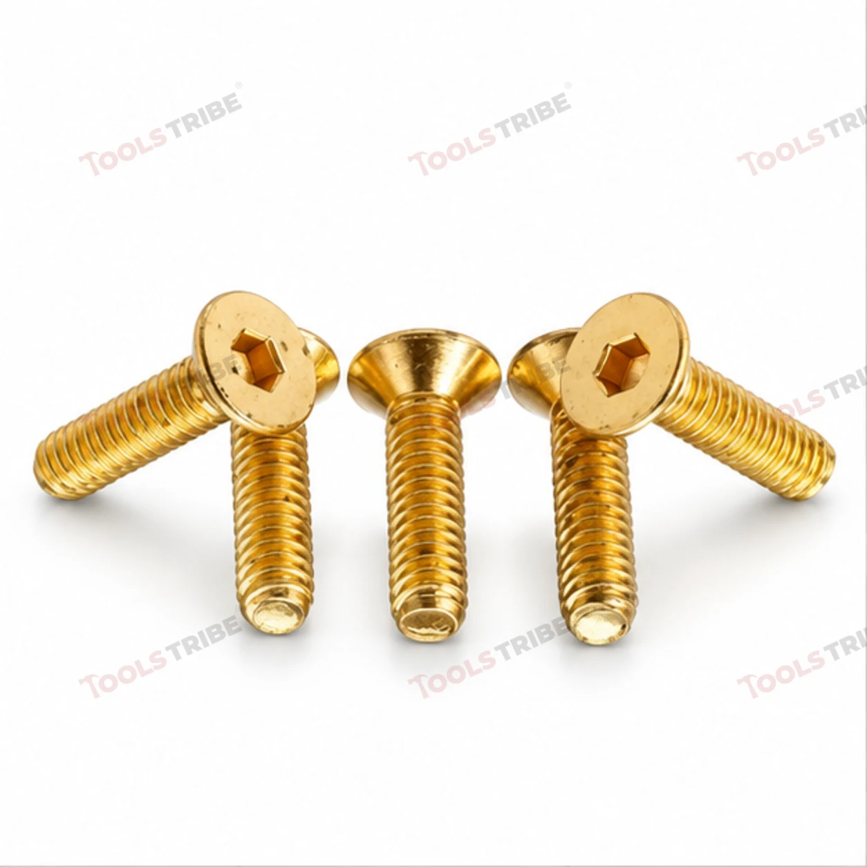 BRASS HEX BOLT(LN CSK-6*20)
