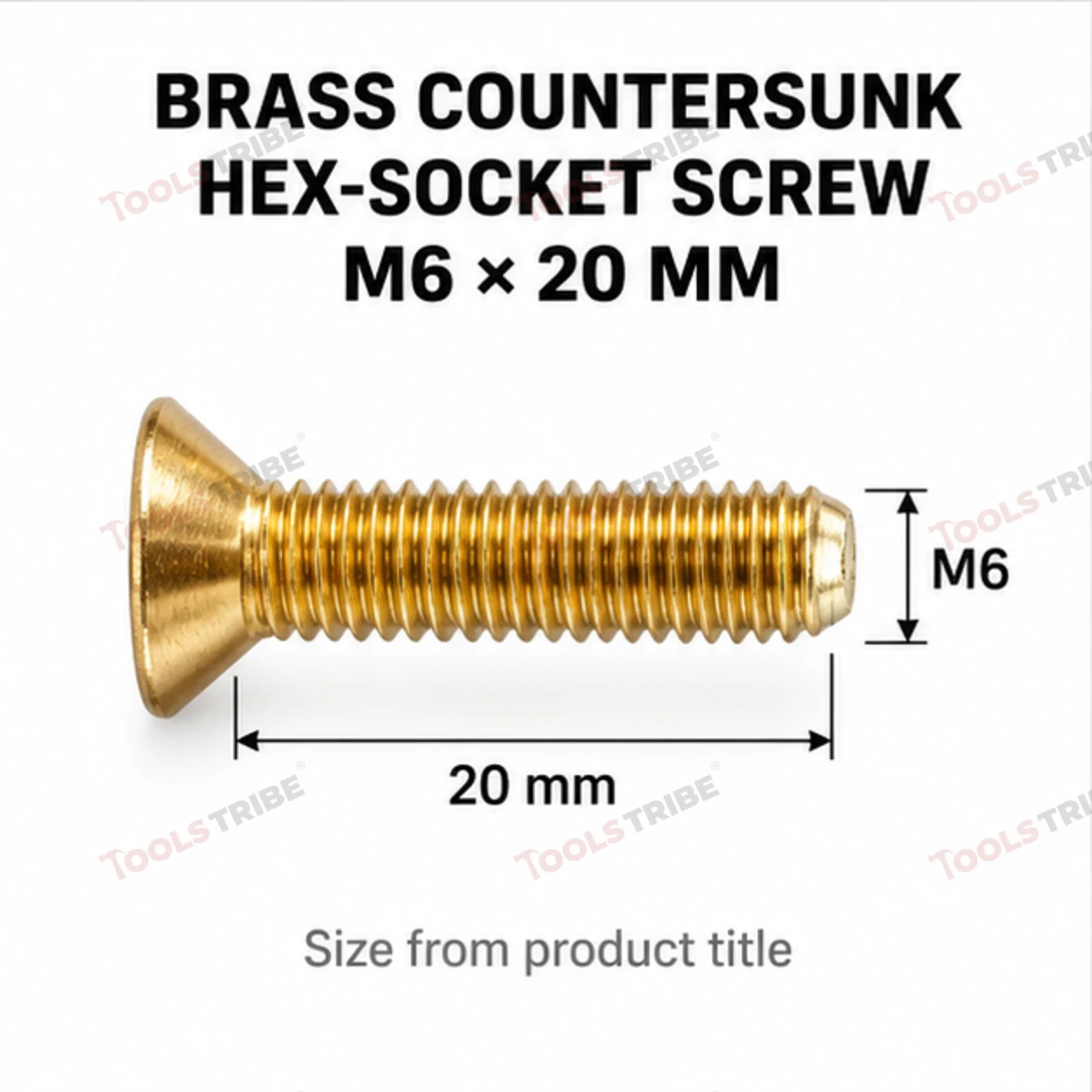 BRASS HEX BOLT(LN CSK-6*20)