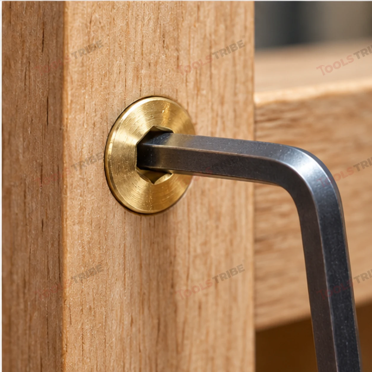 BRASS HEX BOLT(LN CSK-6*20)