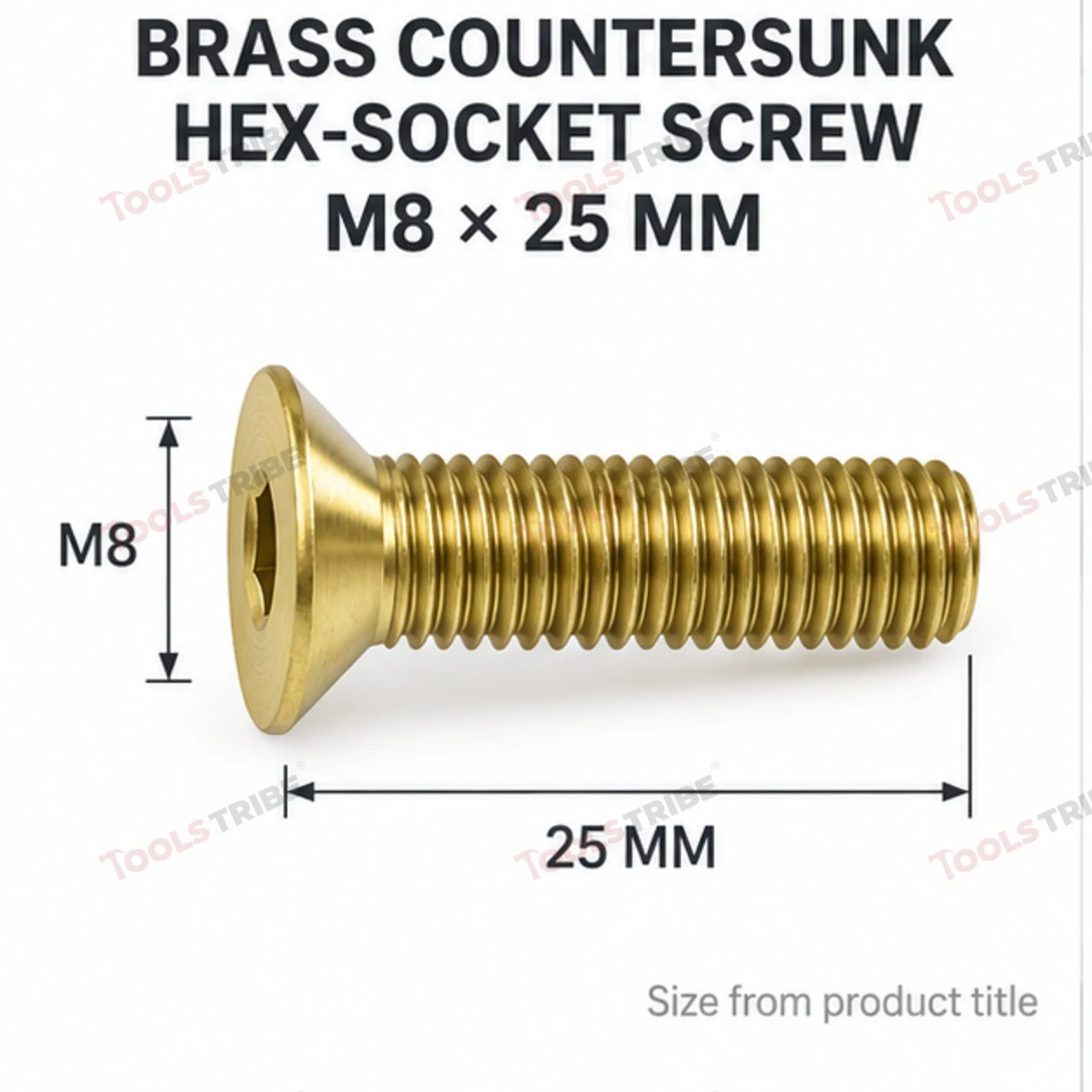 BRASS HEX BOLT (LN CSK-8*25)