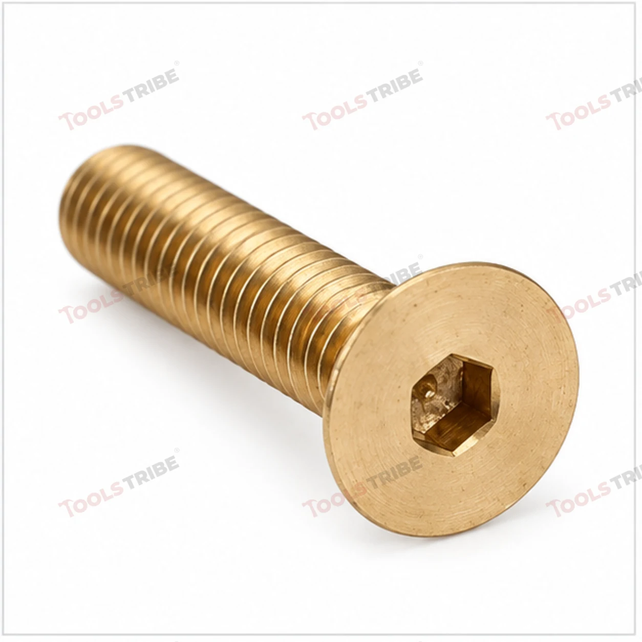 BRASS HEX BOLT(LN CSK-3*12)
