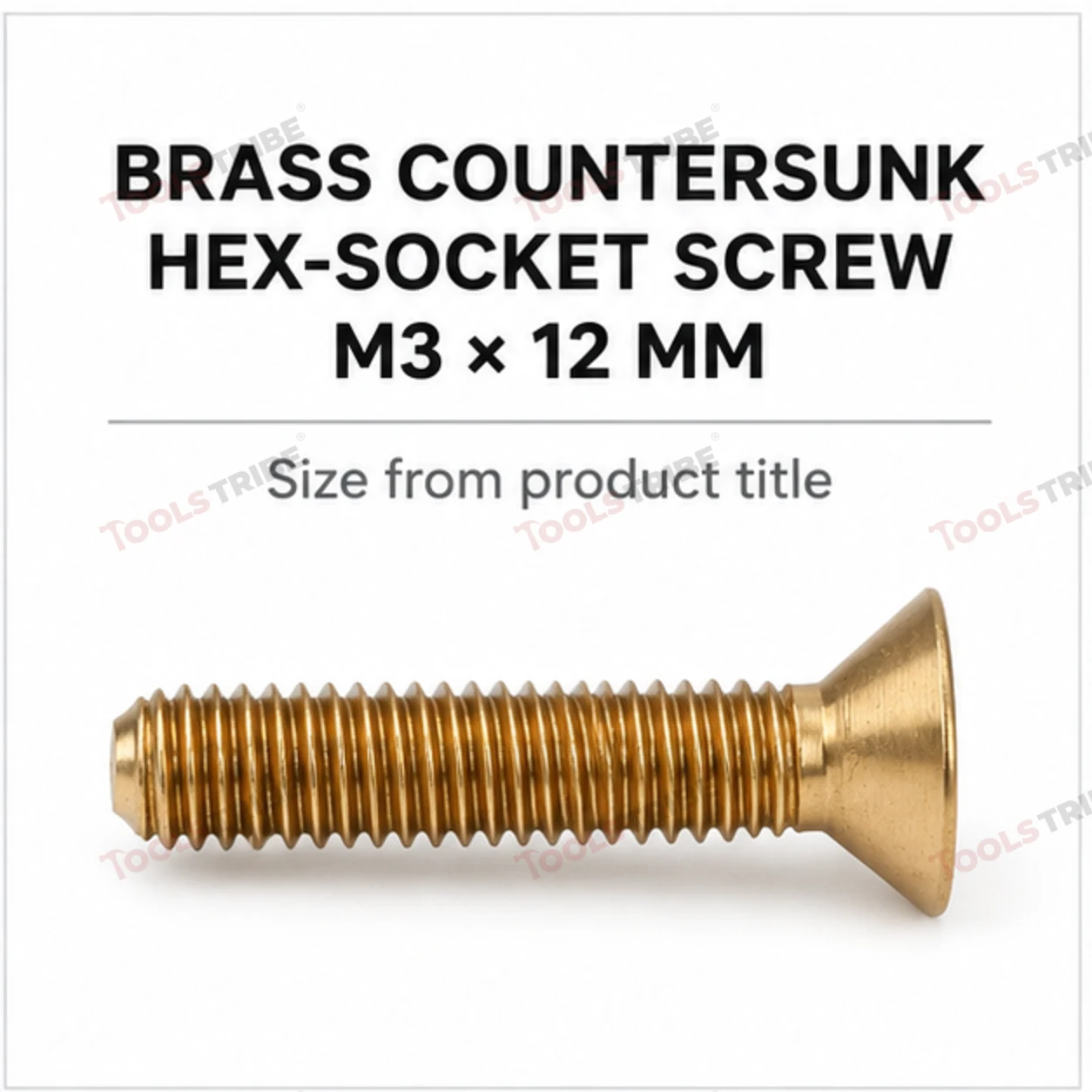 BRASS HEX BOLT(LN CSK-3*12)