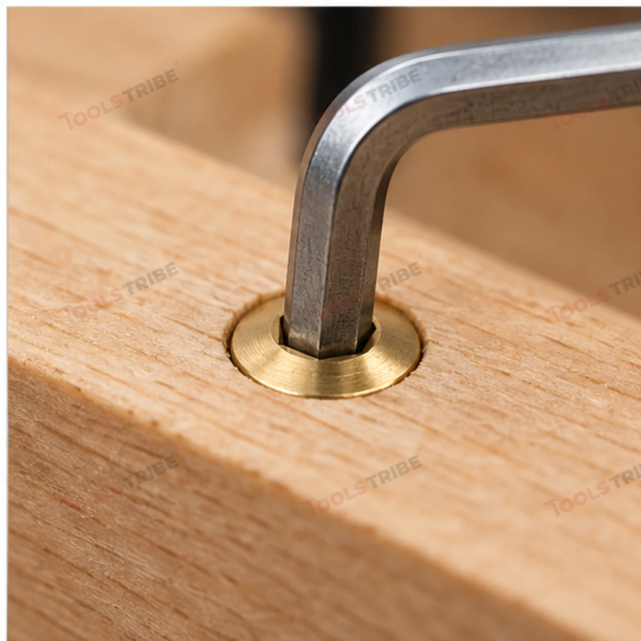 BRASS HEX BOLT(LN CSK-3*12)
