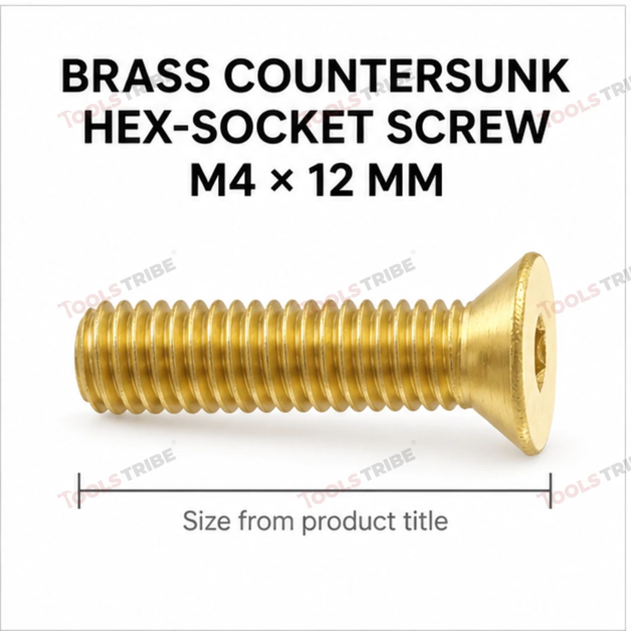 BRASS HEX BOLT(LN CSK--4*12)