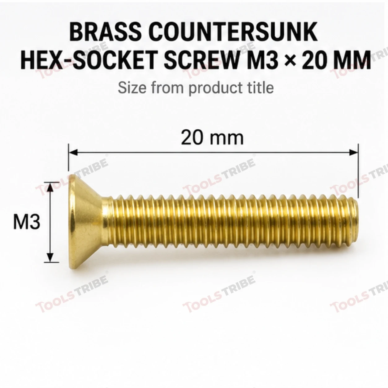 BRASS HEX BOLT(LN CSK--3*20)