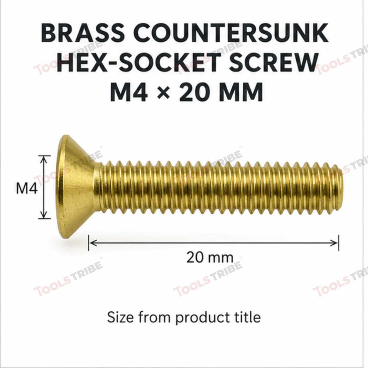 BRASS HEX BOLT(LN CSK-- 4*20)