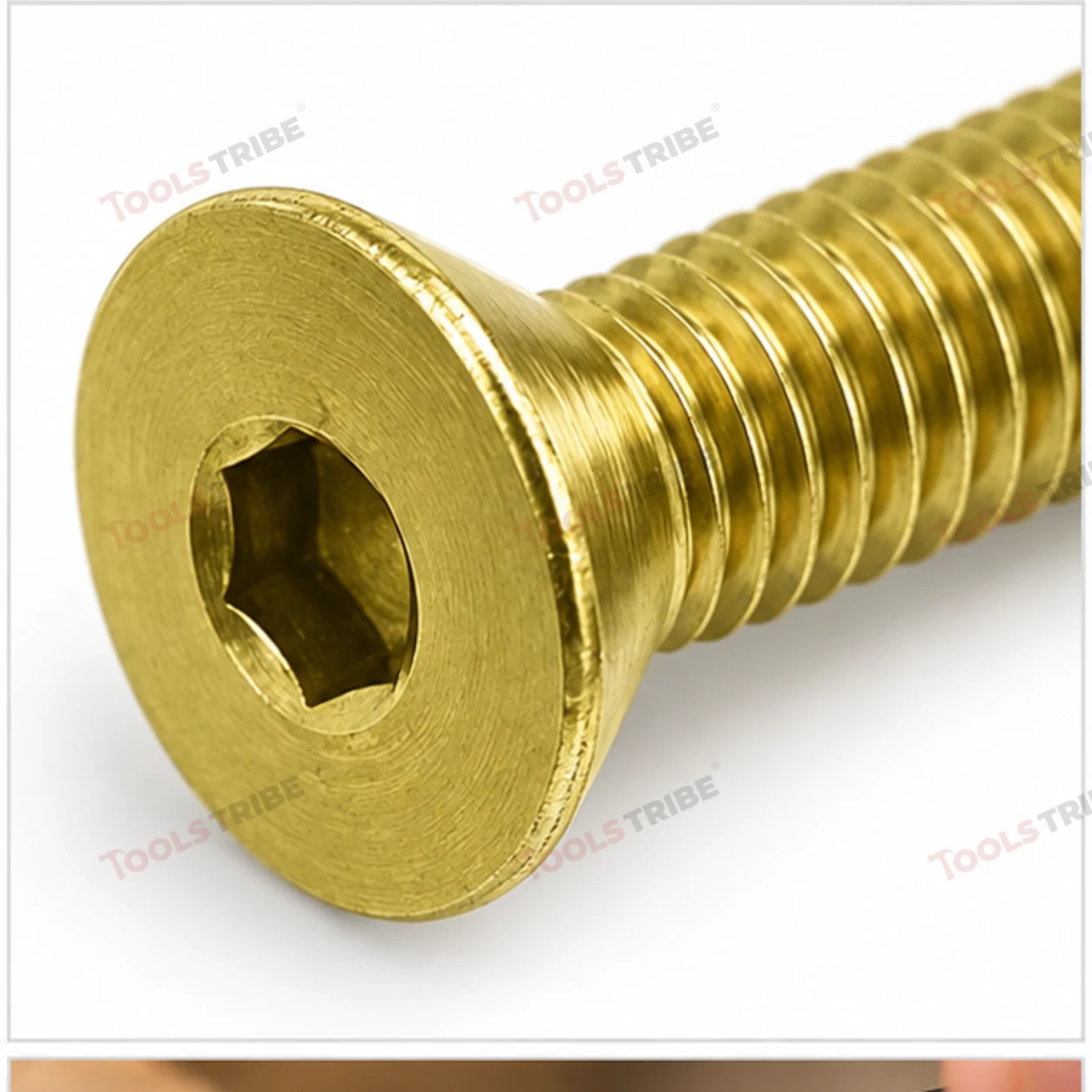 BRASS HEX BOLT(LN CSK--5*20)