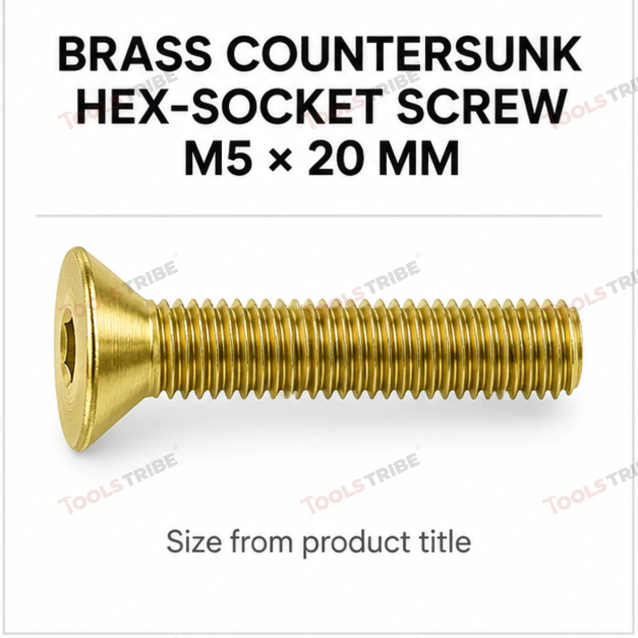 BRASS HEX BOLT(LN CSK--5*20)