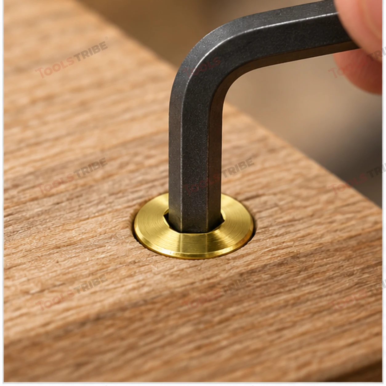 BRASS HEX BOLT(LN CSK--5*20)