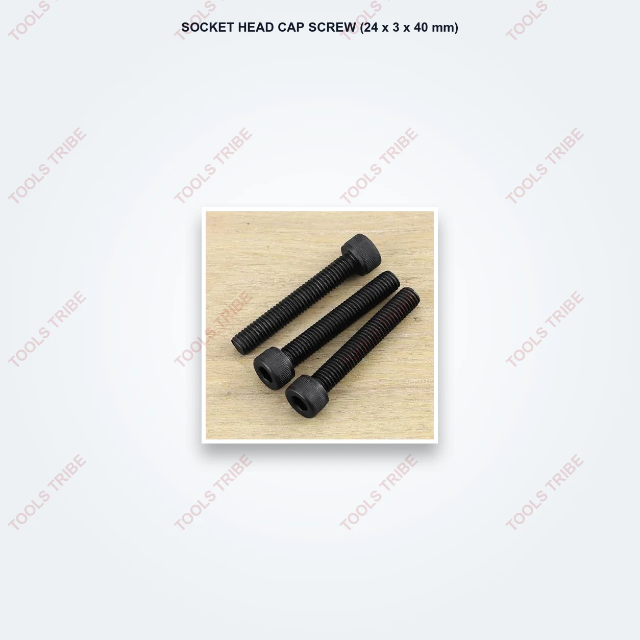 SOCKET HEAD CAP SCREW(24*3*40)