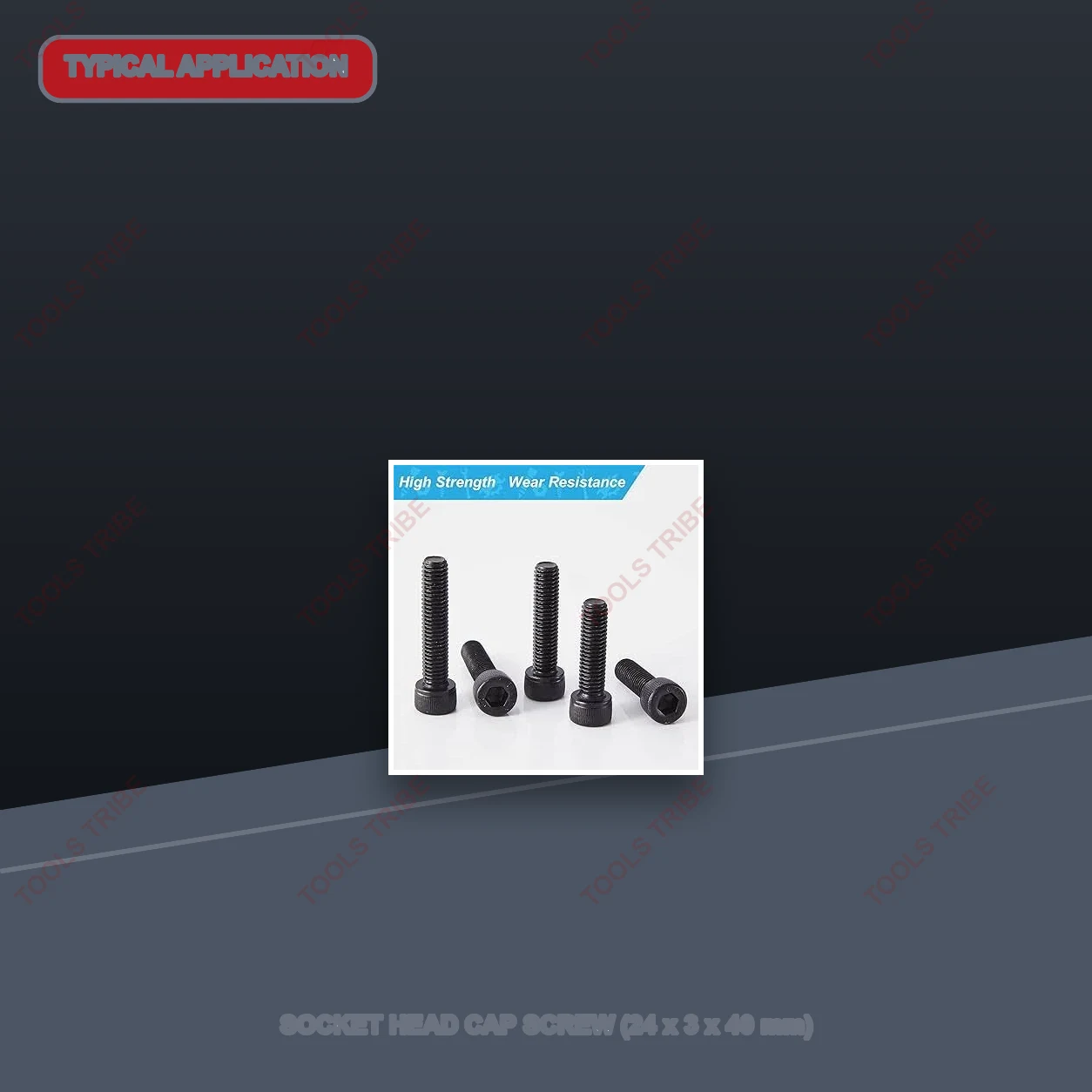 SOCKET HEAD CAP SCREW(24*3*40)
